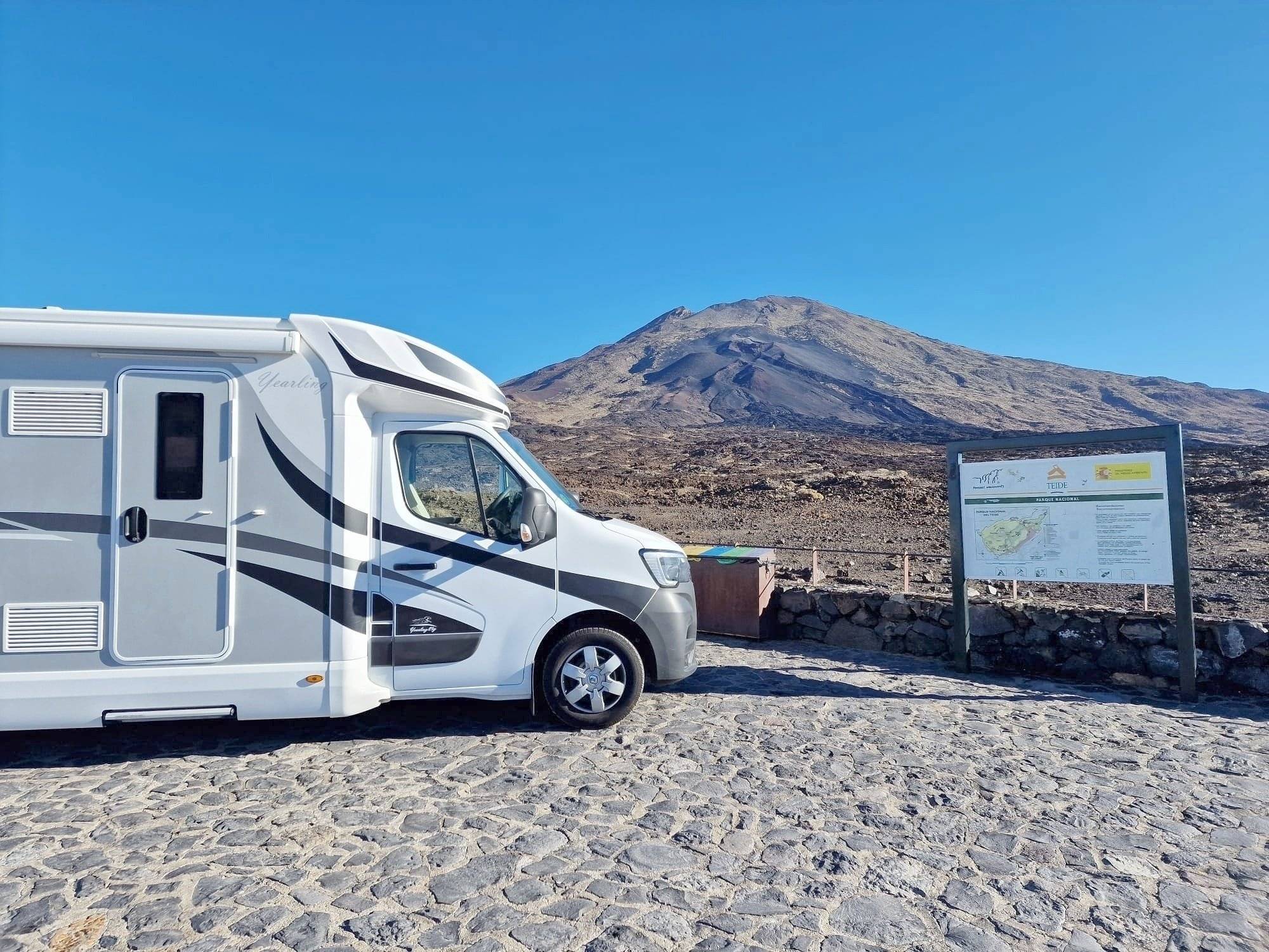 Mclouis Mclouis Yearling 89