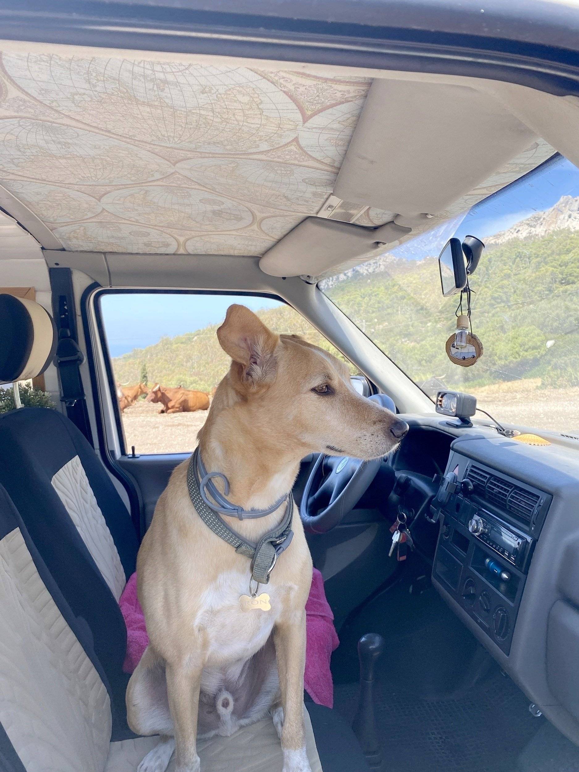 Volkswagen Transporter T4