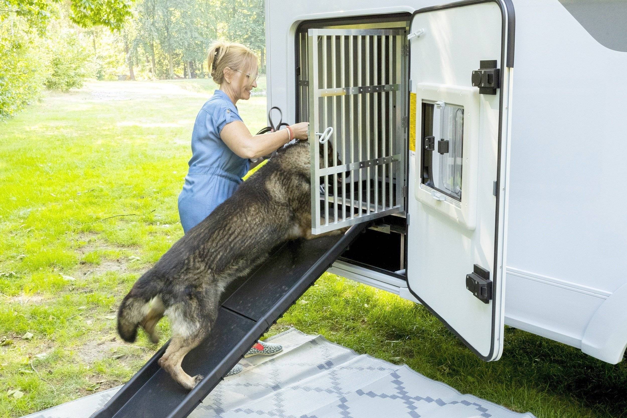 Sun Living Sun living