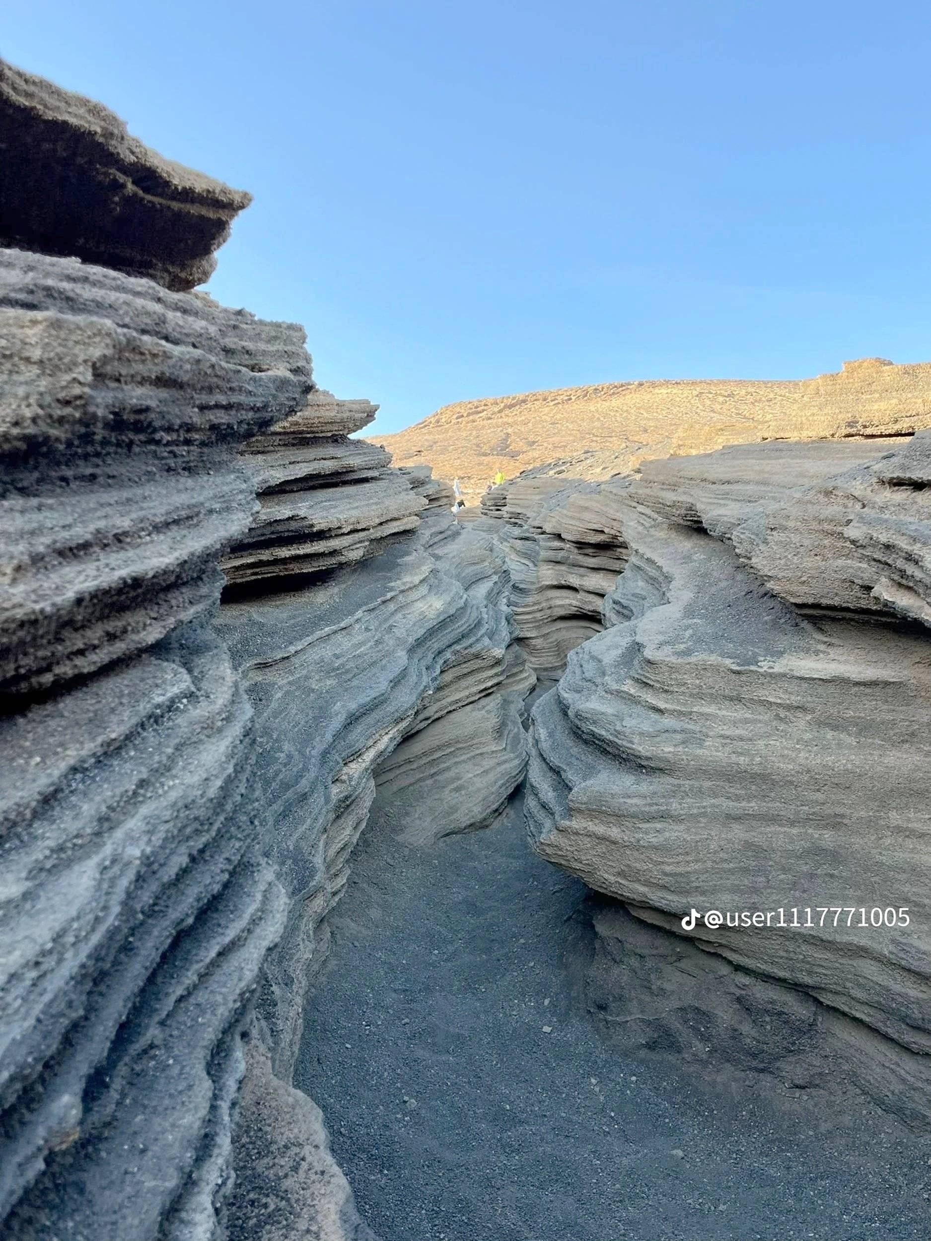 Alpes Camping-Car Vivaro 1,9 CDTI 100ch