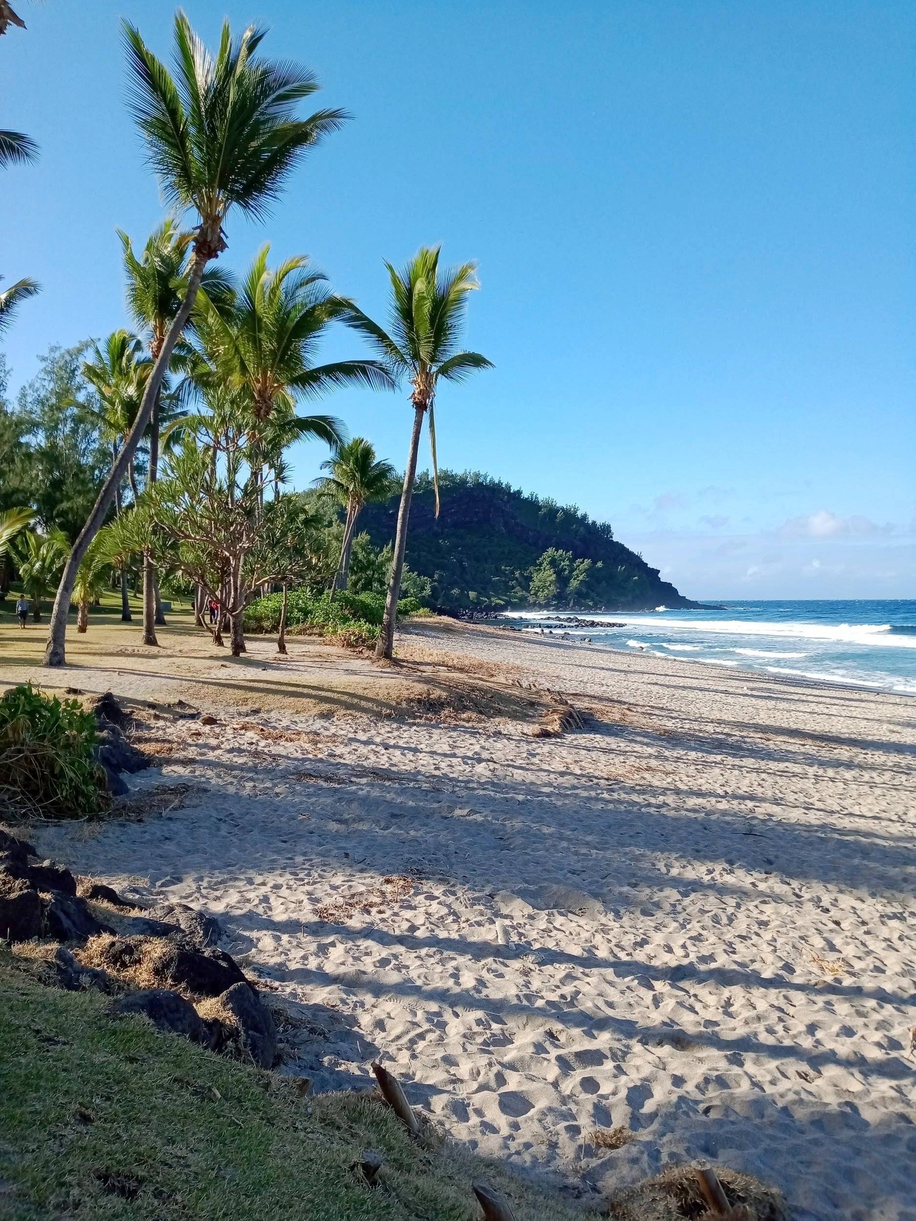 Volkswagen California Beach