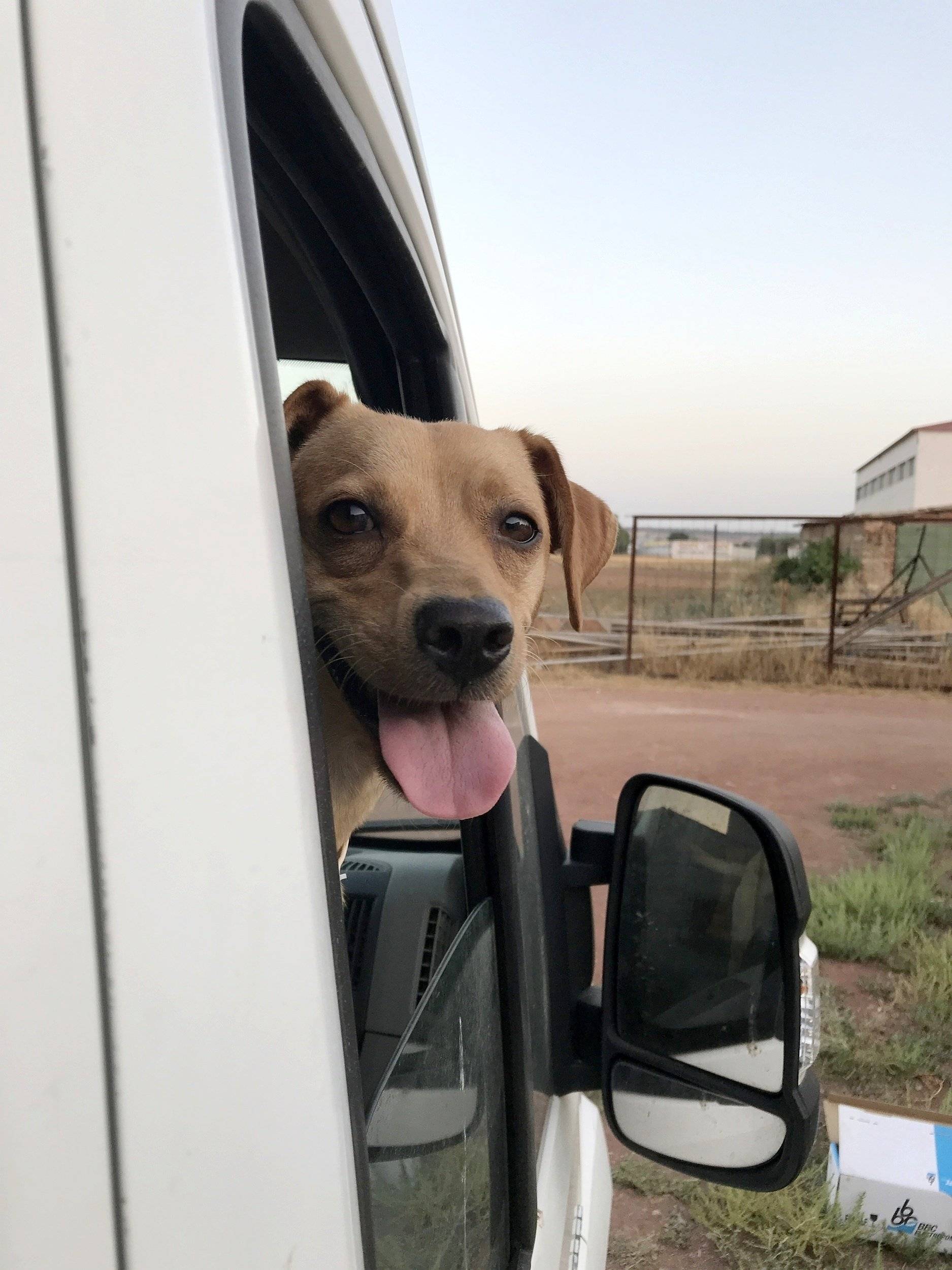 jumper Citroën jumper