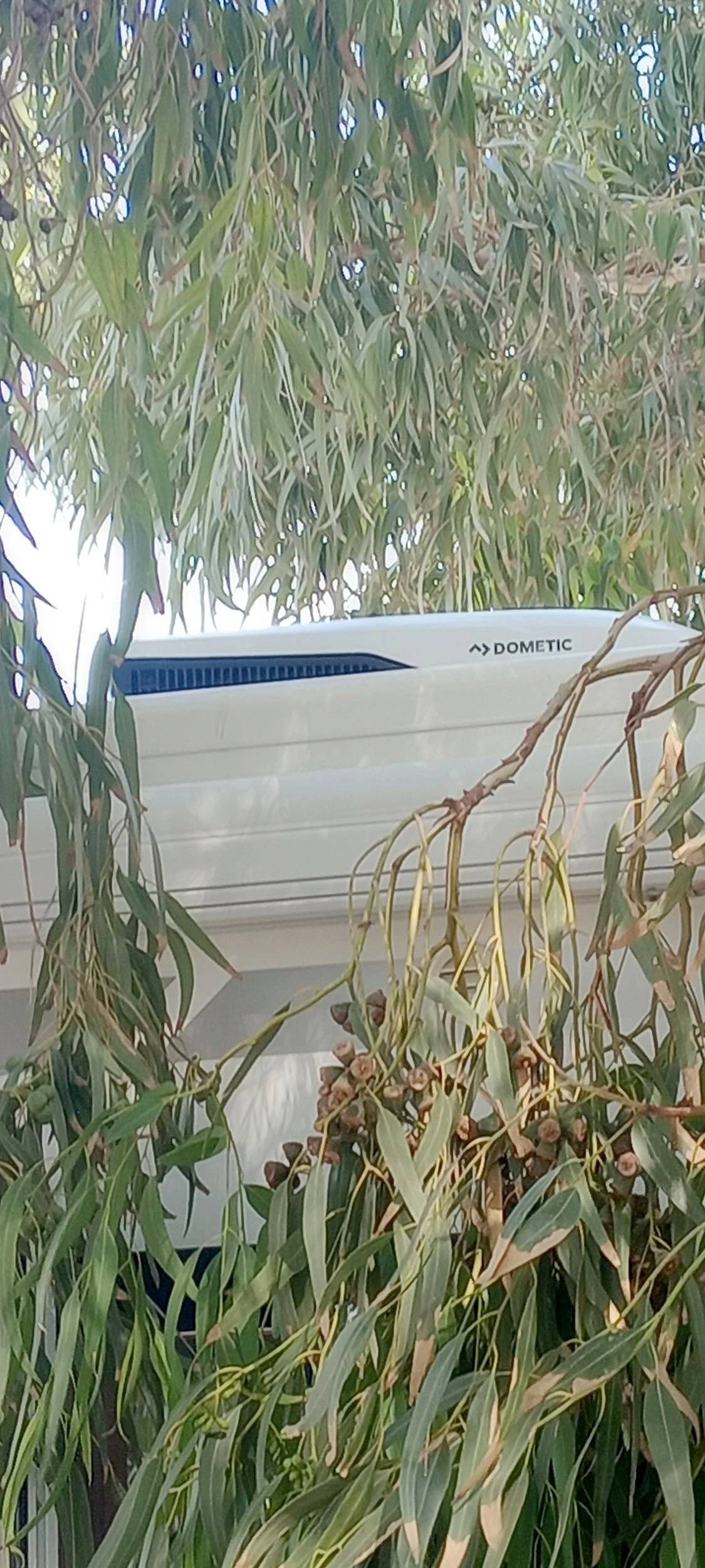 Mclouis McLouis Glamys 322