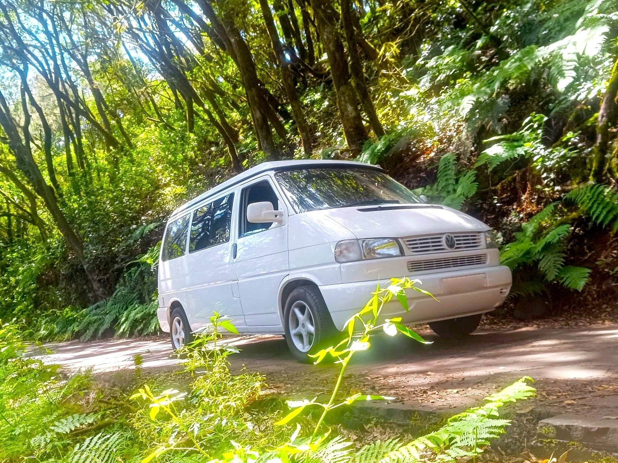Westfalia California t4 westfalia