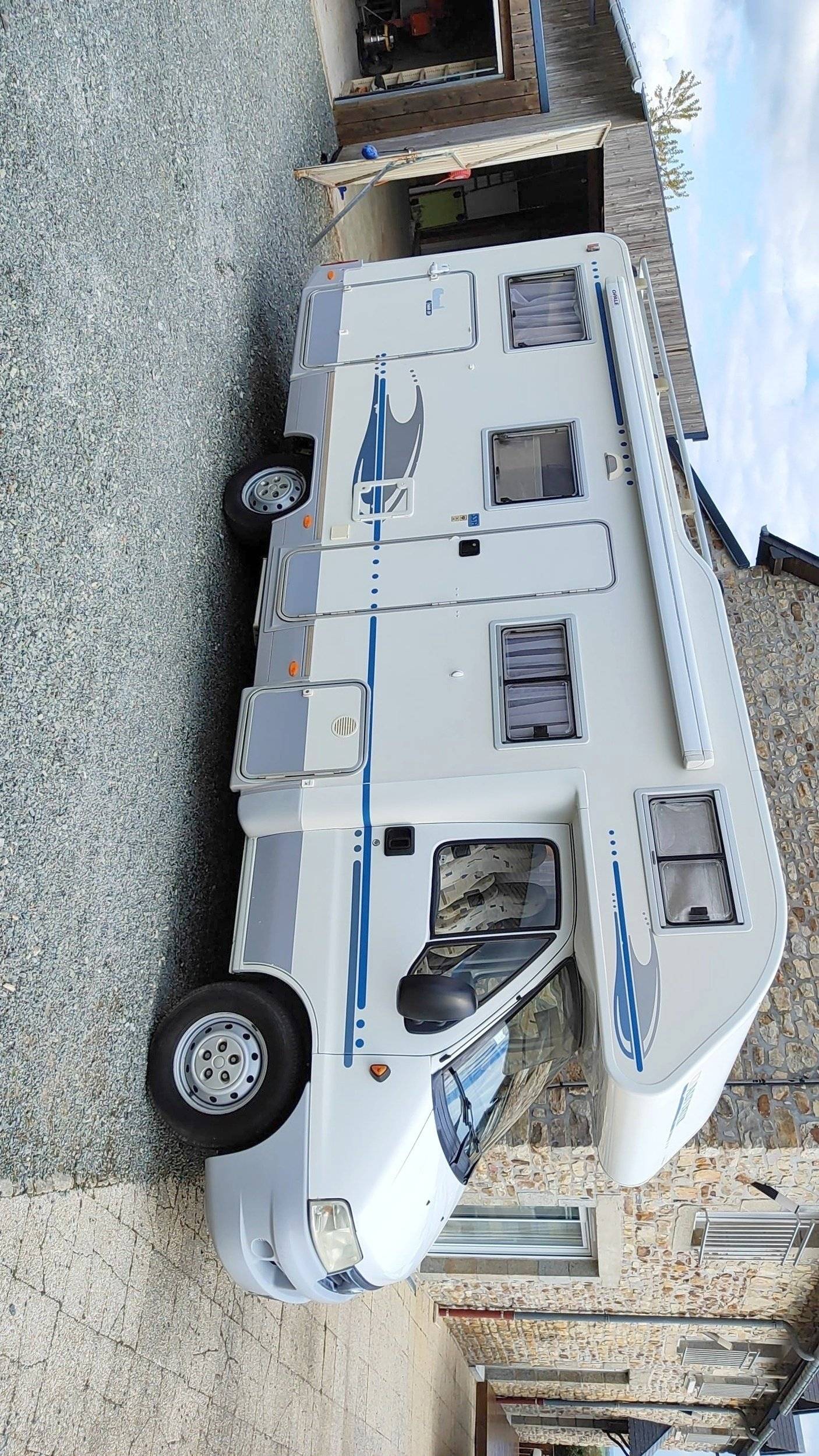 Adria Adria coral   sp660