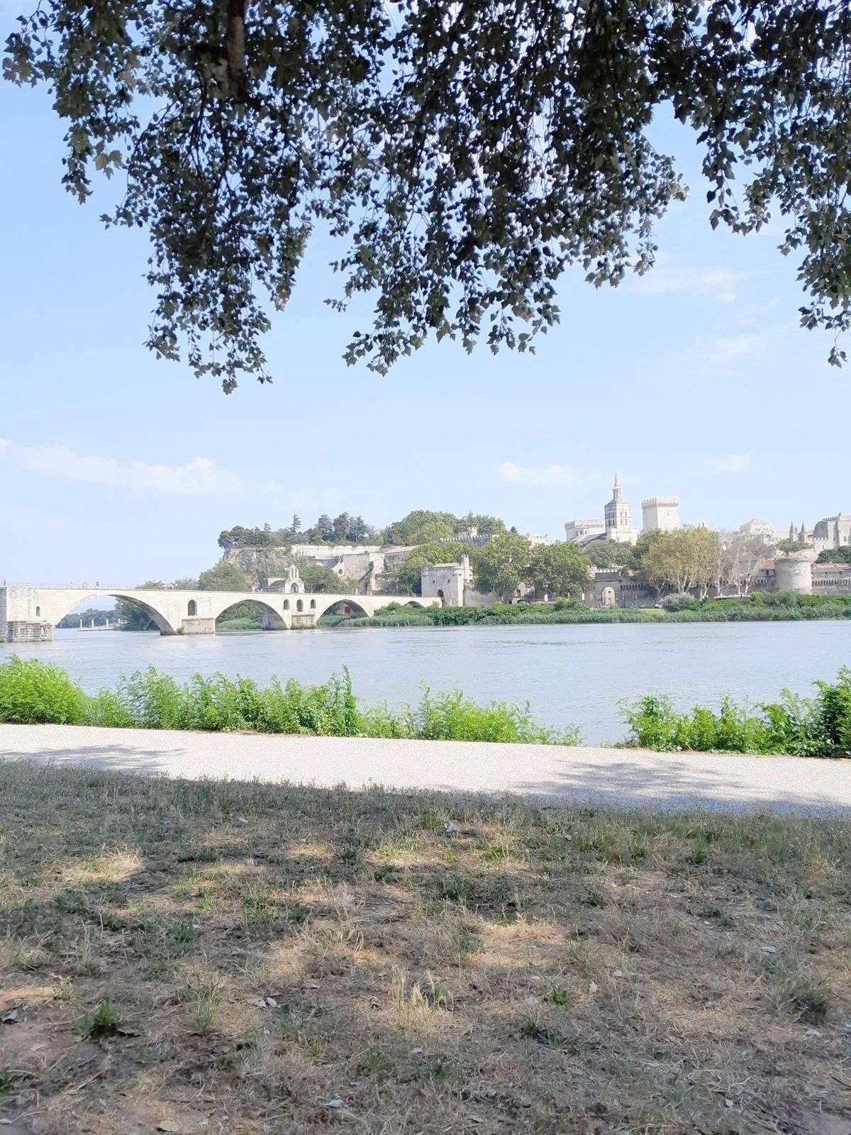 Volkswagen California Ocean