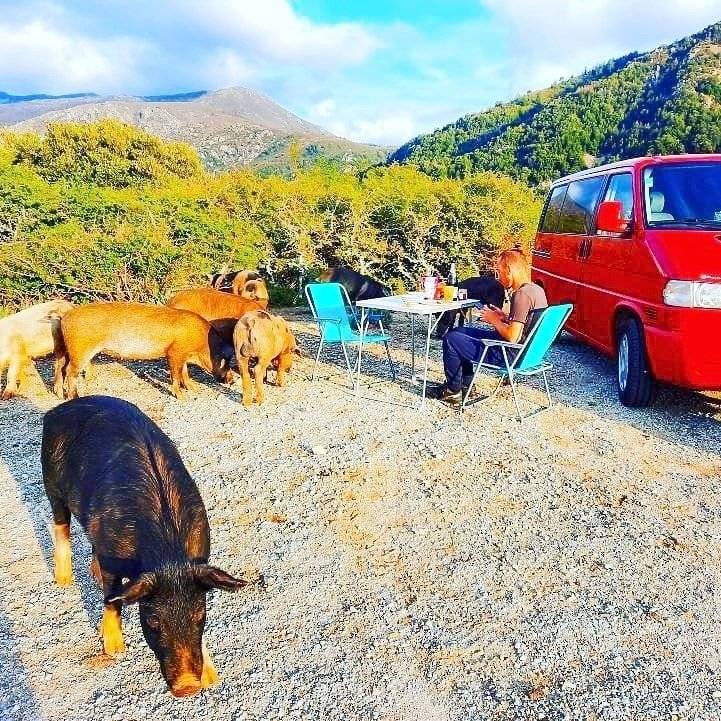 Volkswagen t4 Multivan 2.5 tdi