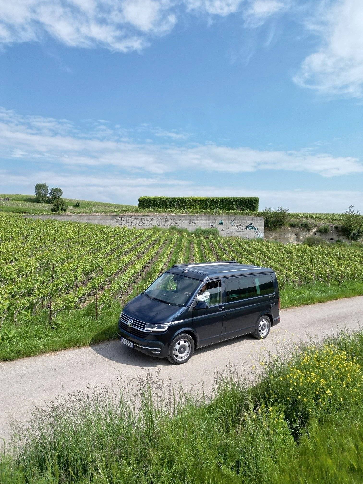 Volkswagen Volkswagen