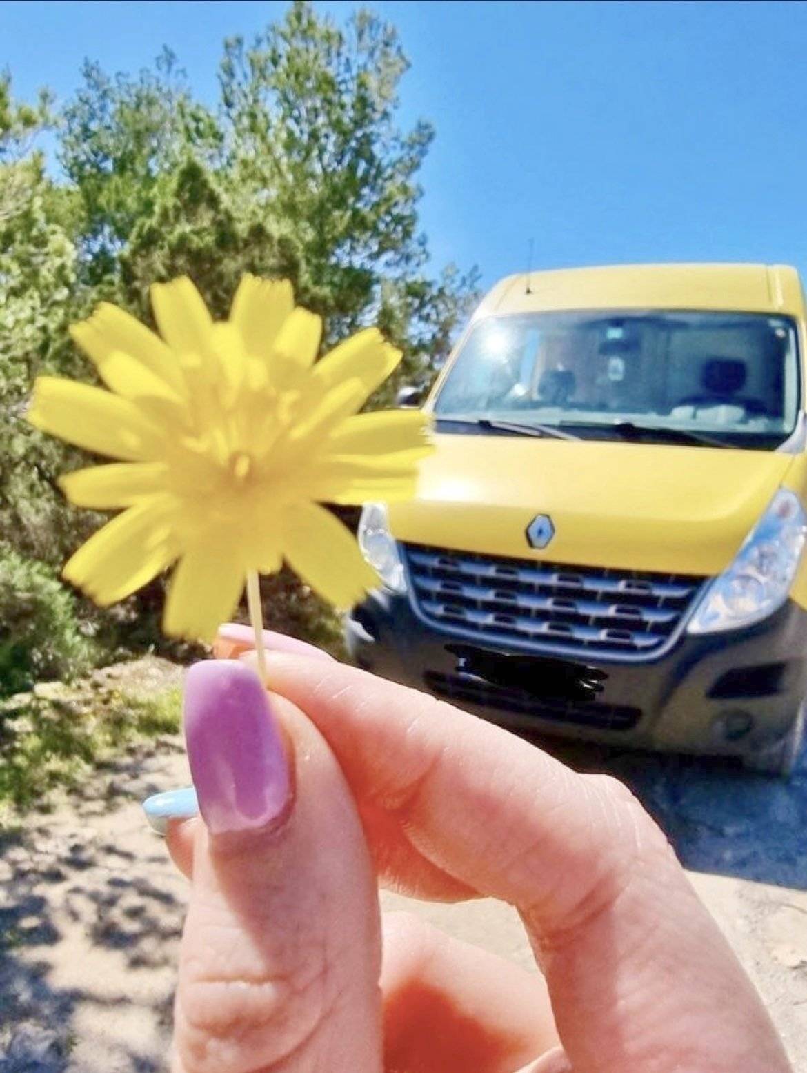 Renault Master 2,3 l 145 ch