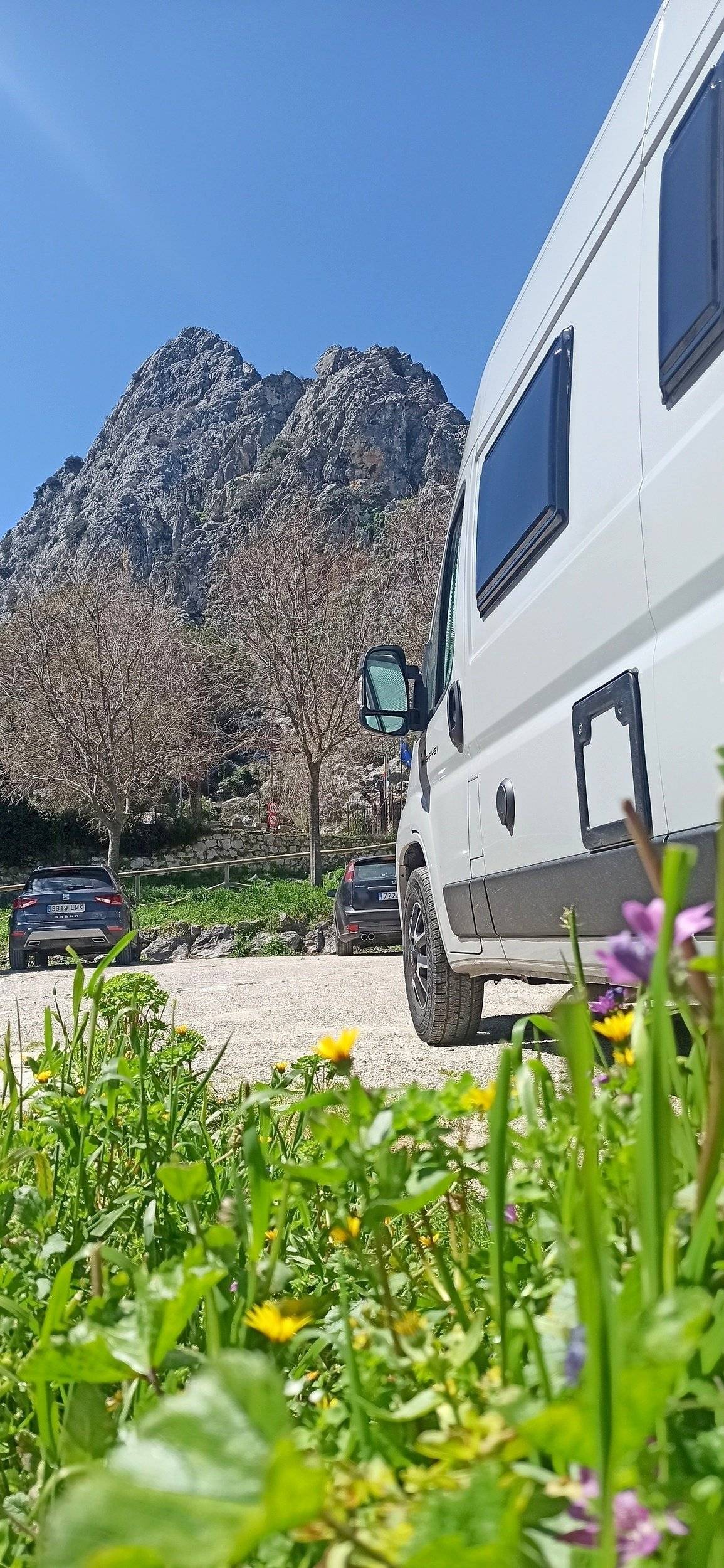 Mclouis MENFYS 1