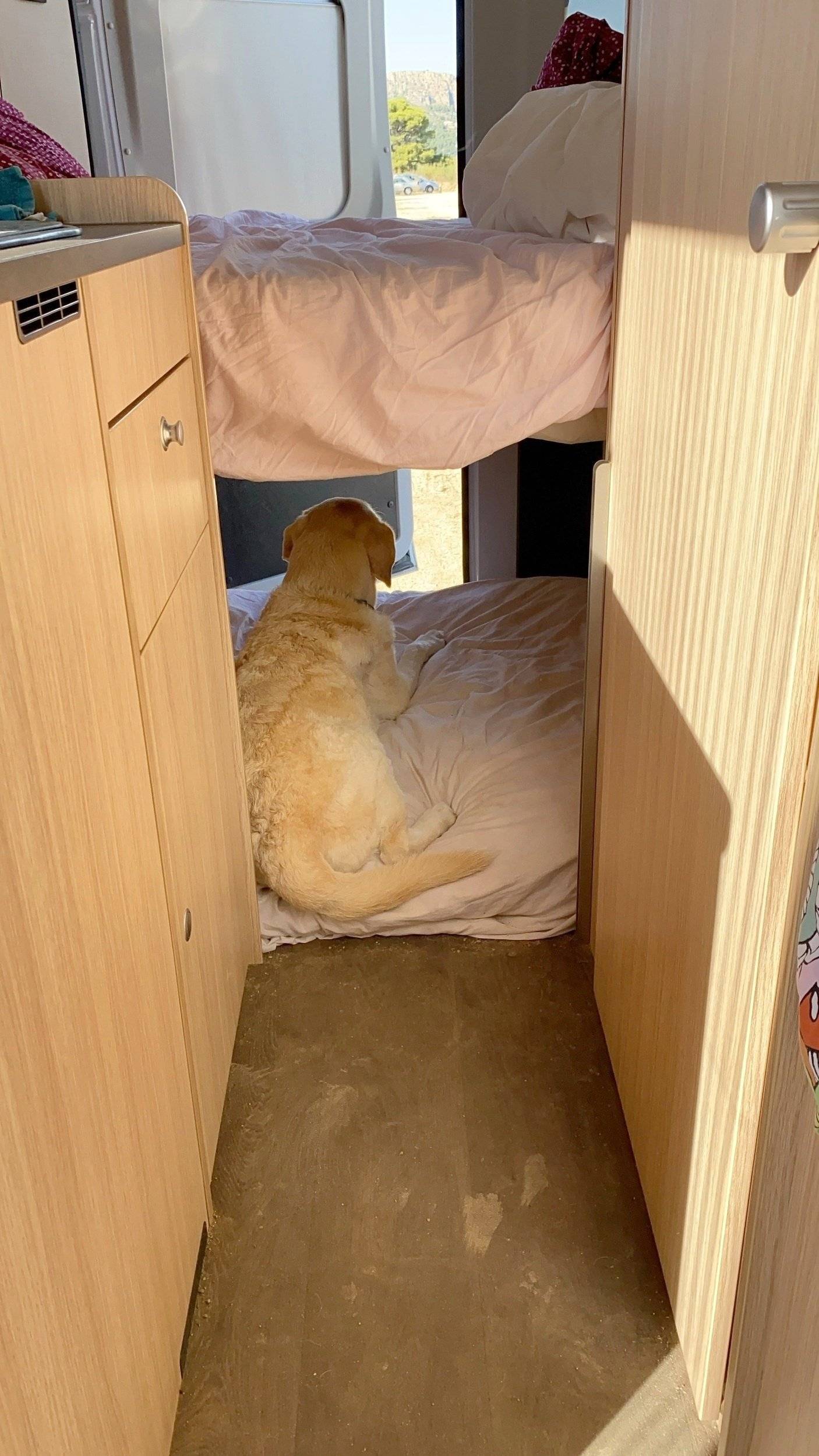 Roadcar Ducato 2,3 l Multijet 120 ch.