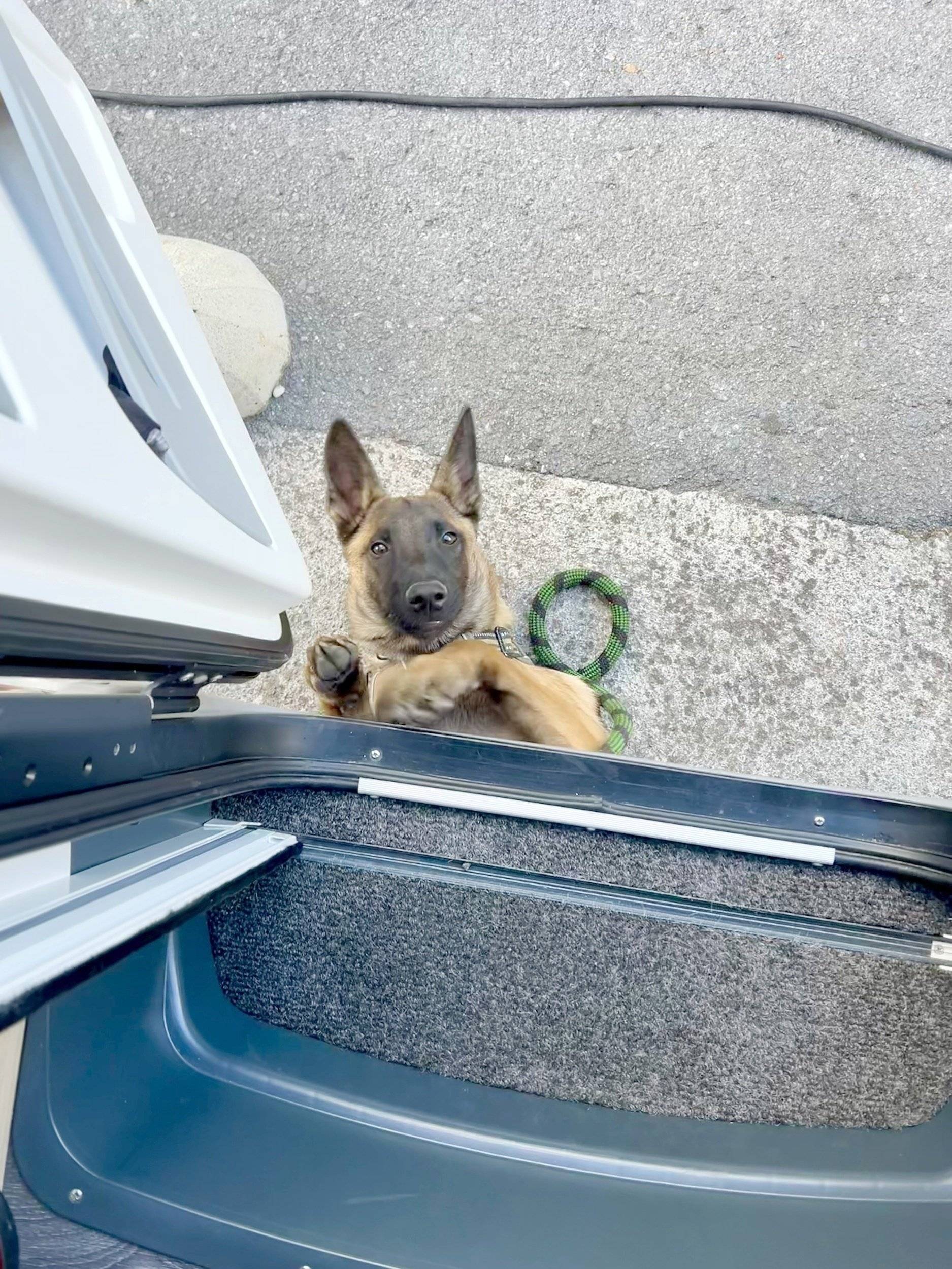 Challenger S217 Sport Edition