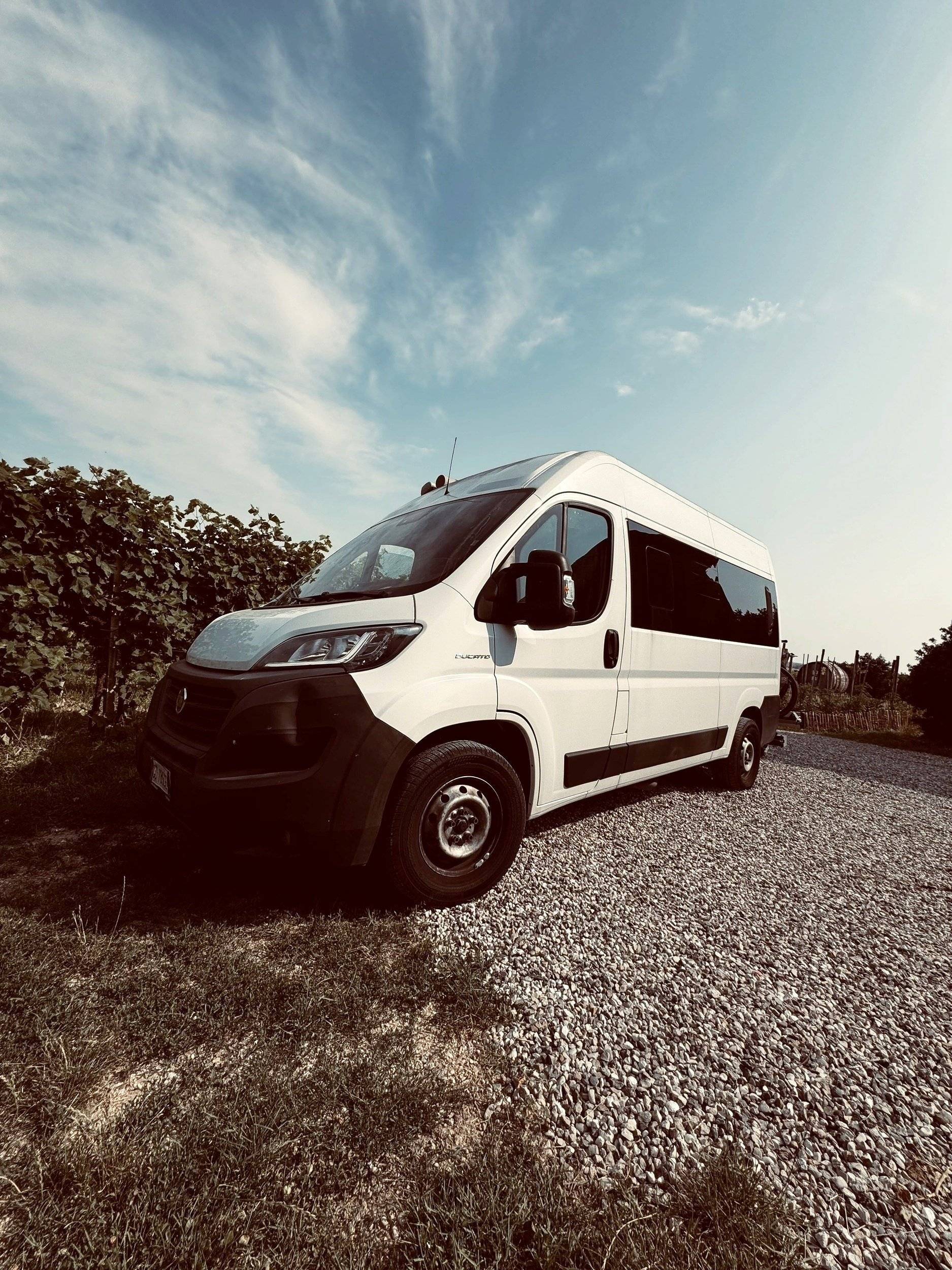 3 C Cartier/Brisebras Atalante