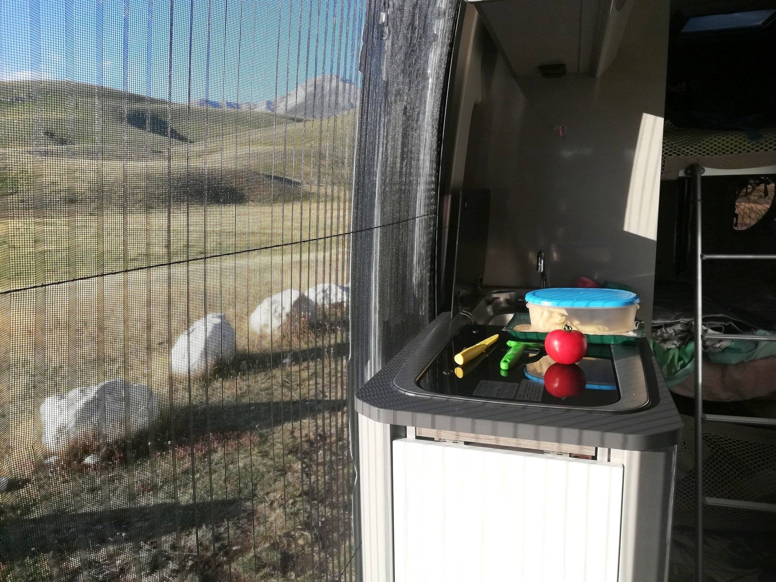 Challenger ROAD EDITION VIP 114 MAX