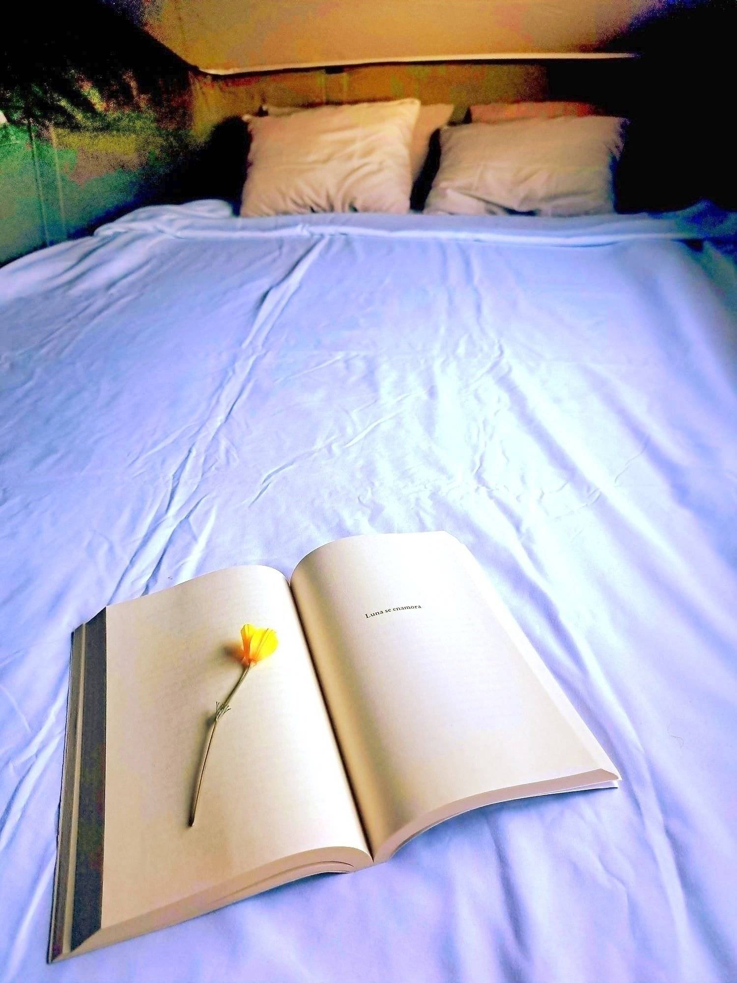 Volkswagen California Confortline