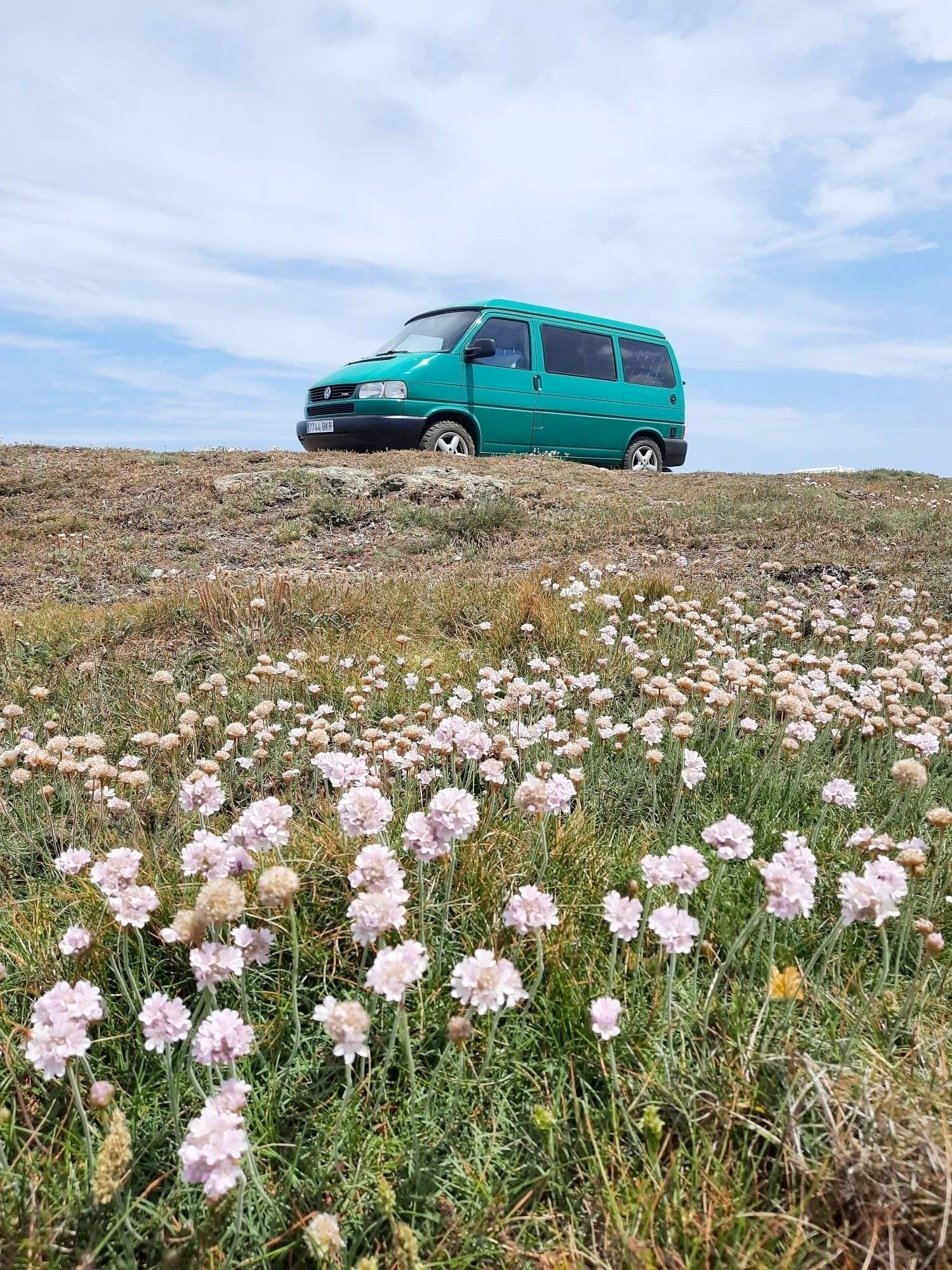 Volkswagen T4 California/Westfalia