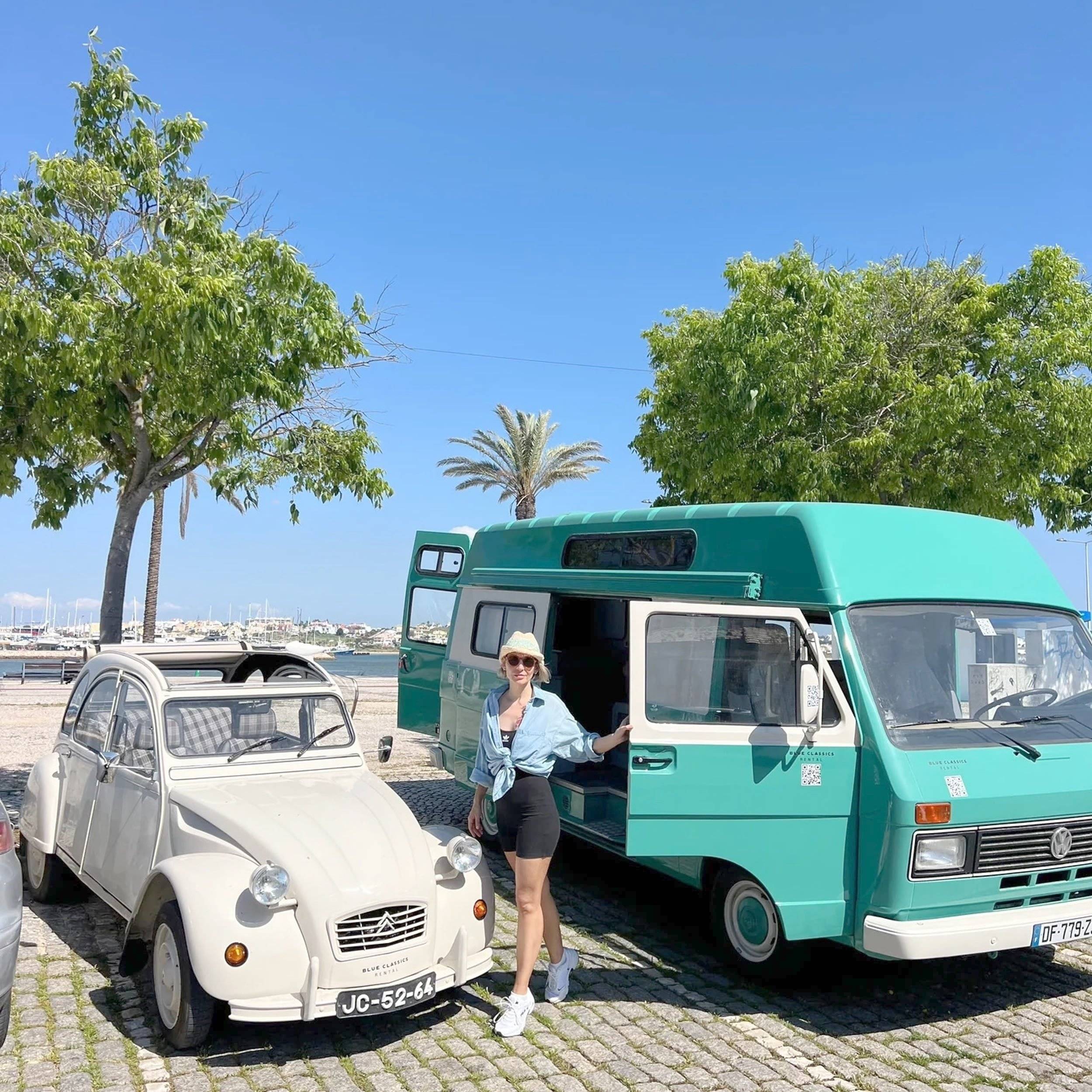 Westfalia LT31