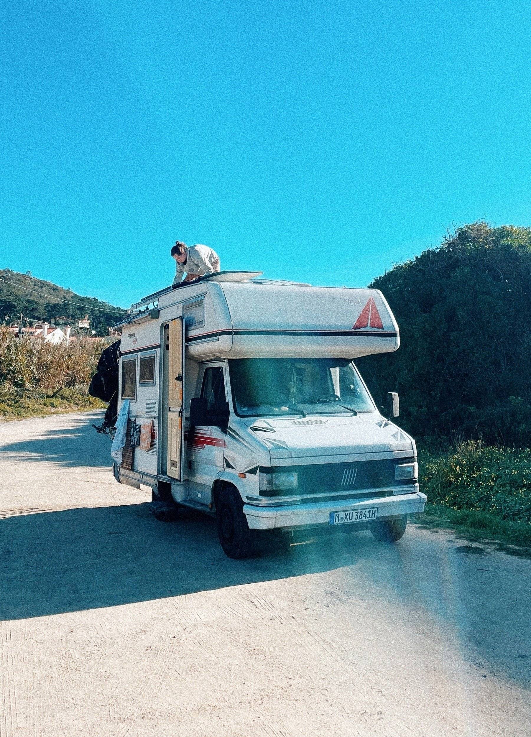 Frankia Fiat talento