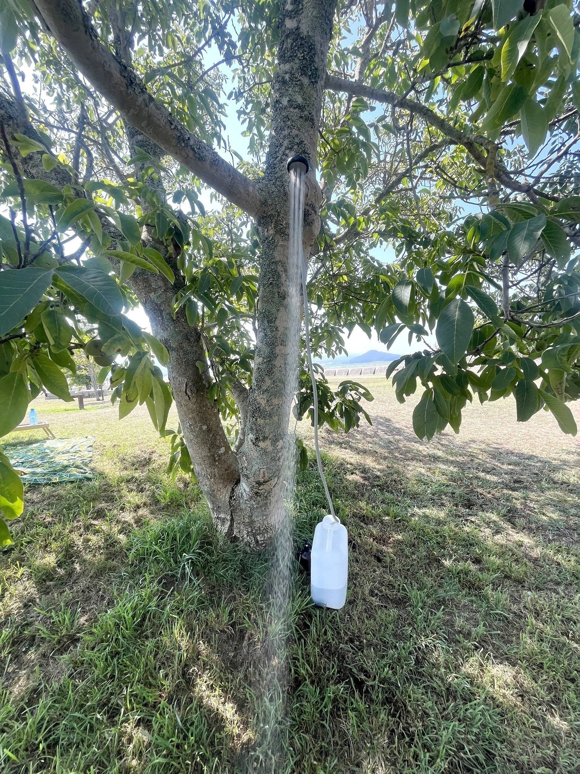 Renault Renault trafic