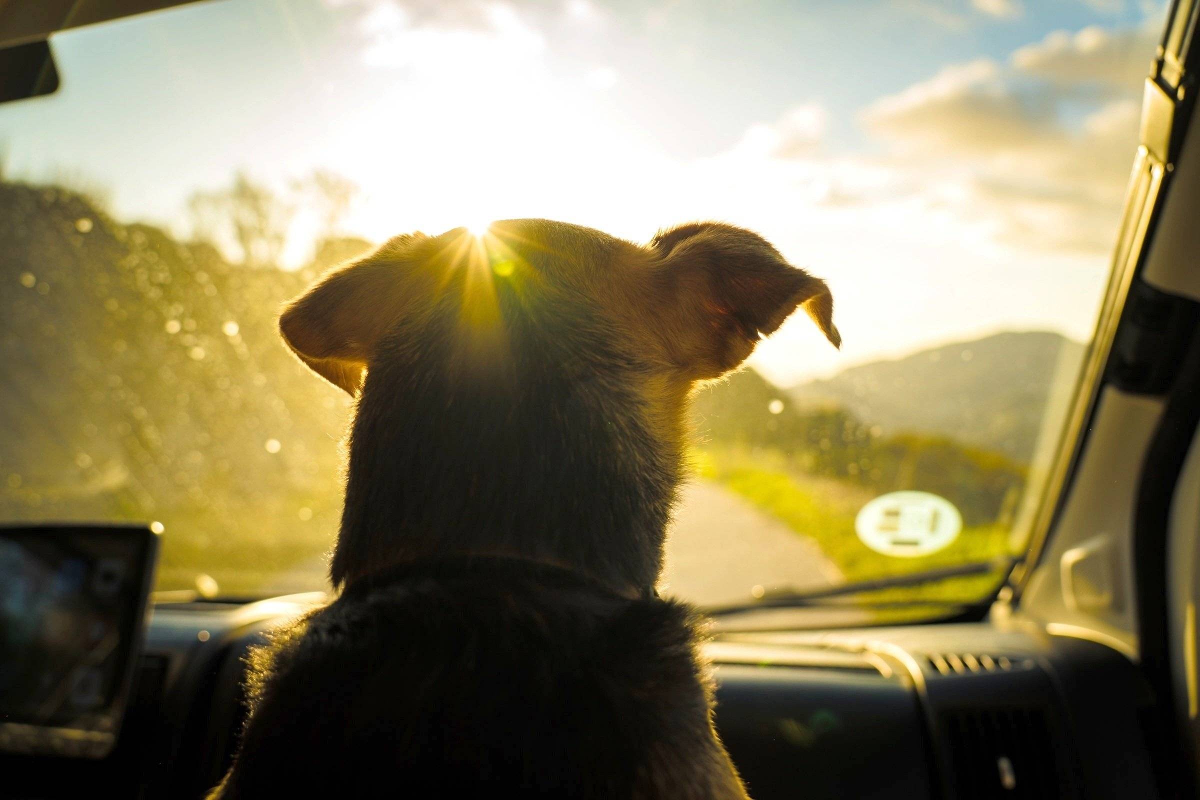 Adria Adria Matrix Axess 670 SL