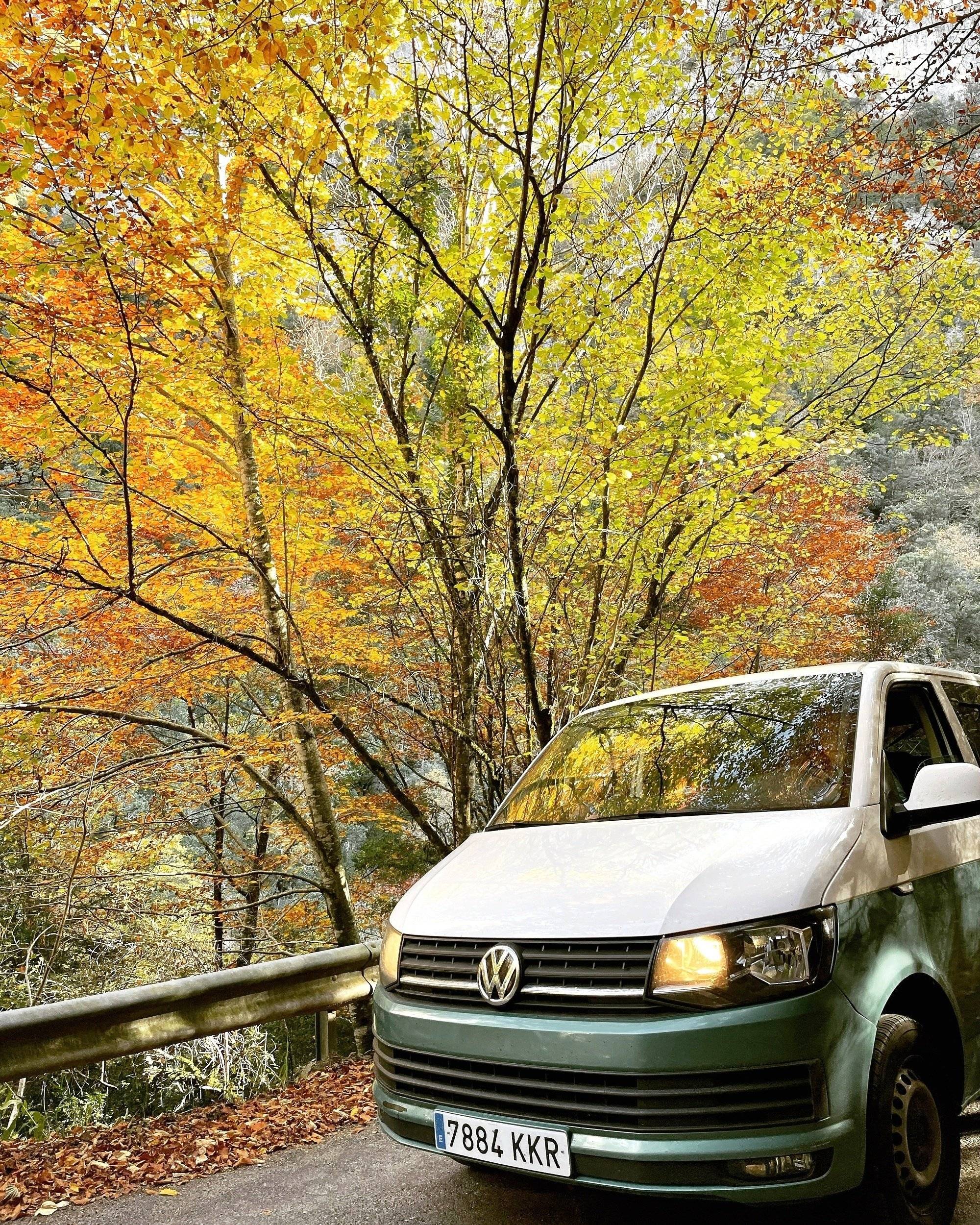 Volkswagen T6 2 l 102 ch