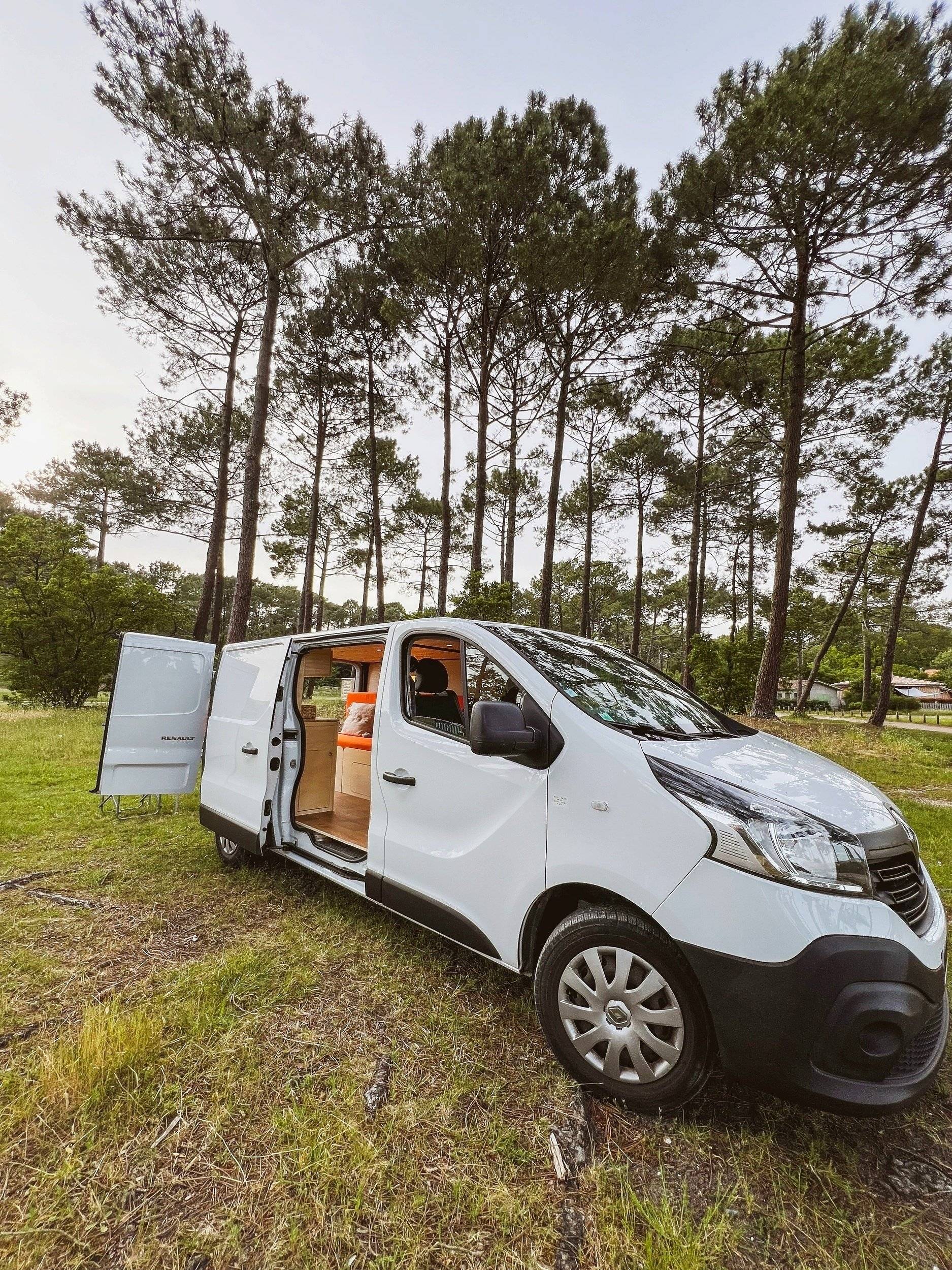 Renault 2,0 l dCi 115 ch