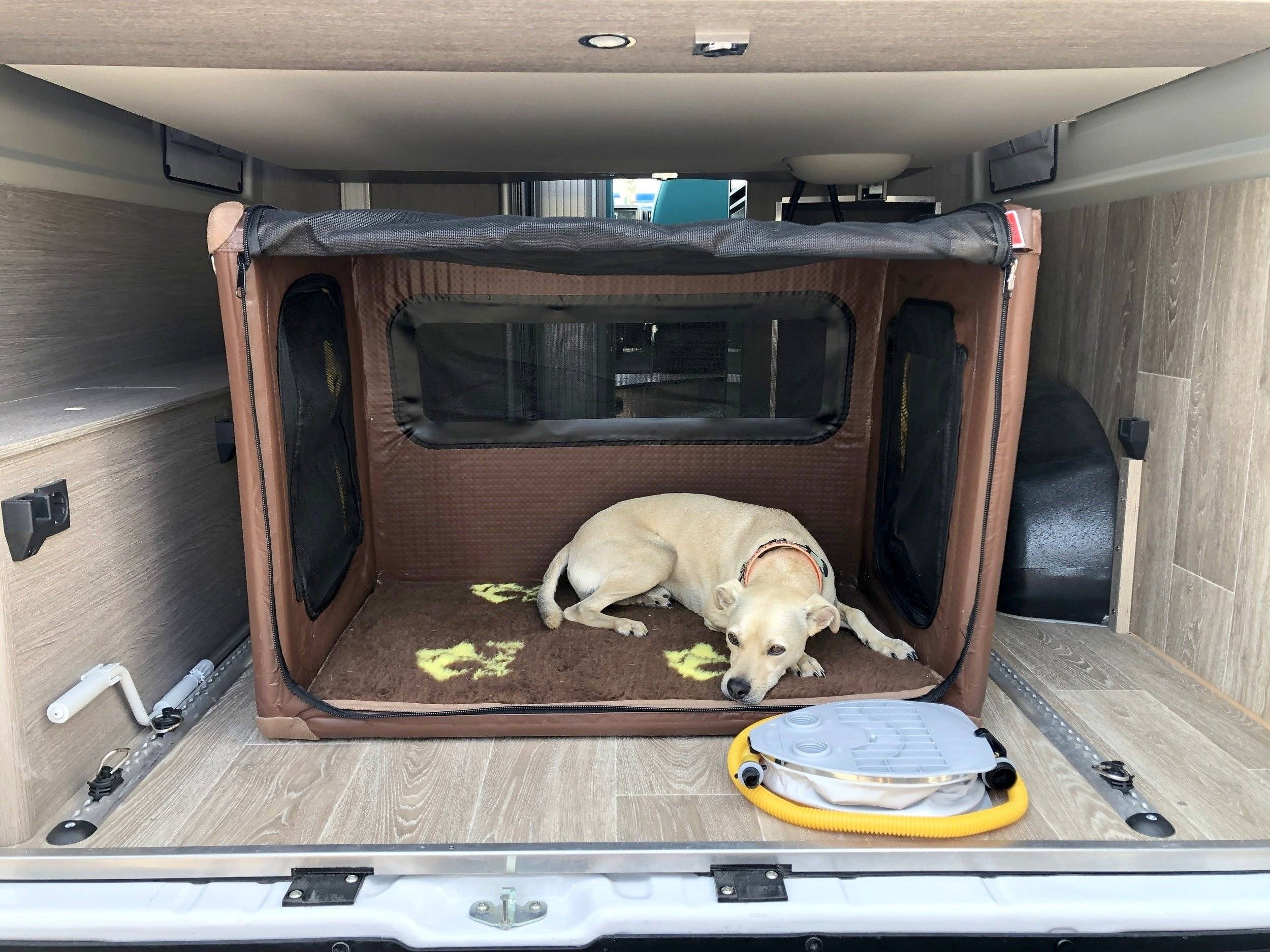 ACTIVANS SURF Family Camper 