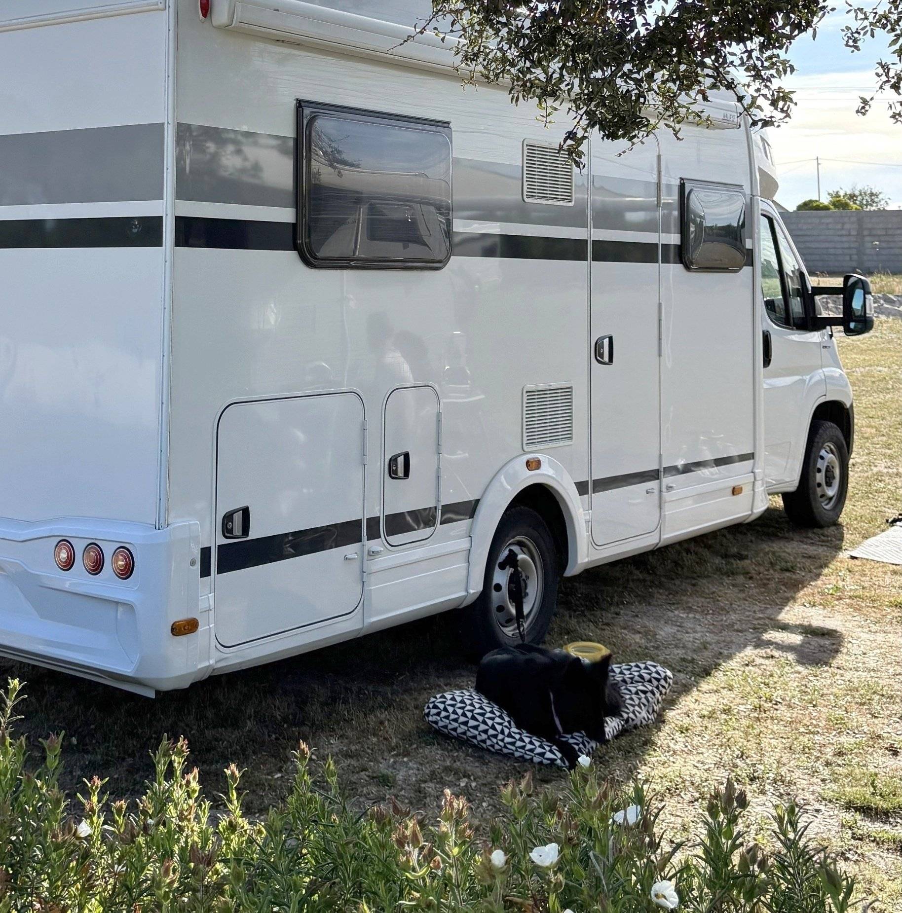 Weinsberg Carasuite 650