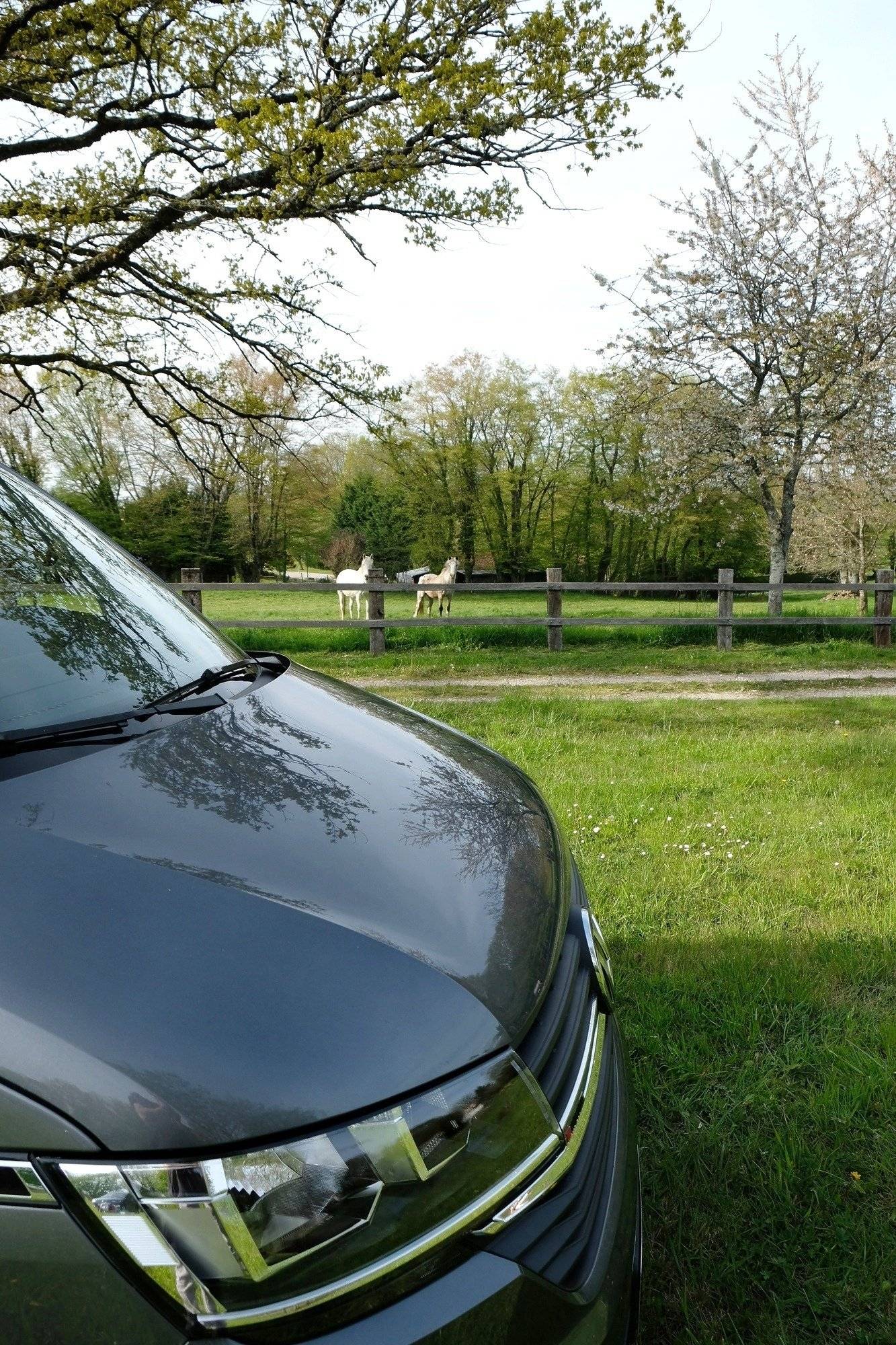 Reimo Volkswagen T6.1