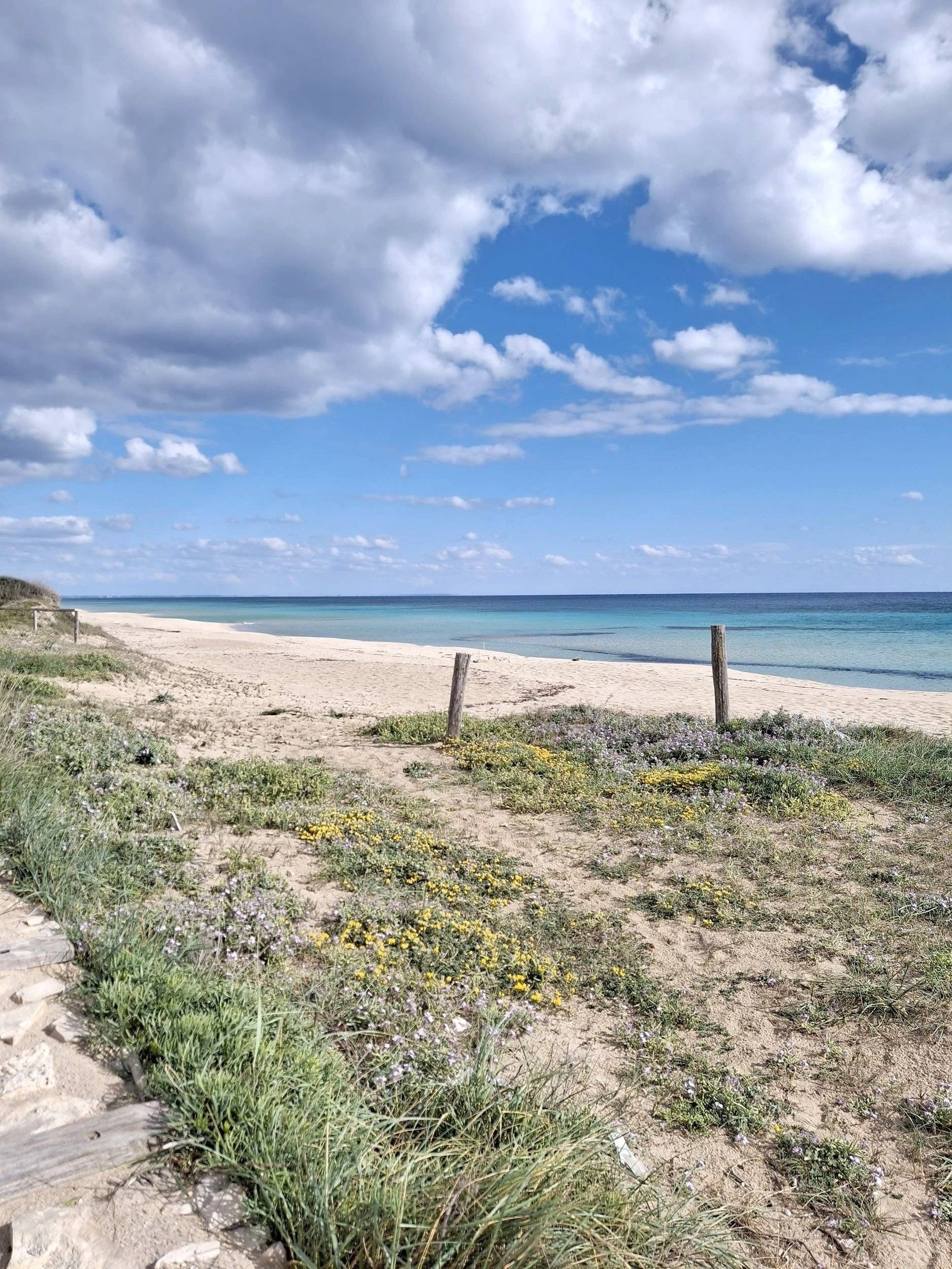 Volkswagen T5 2,5l 174 ch