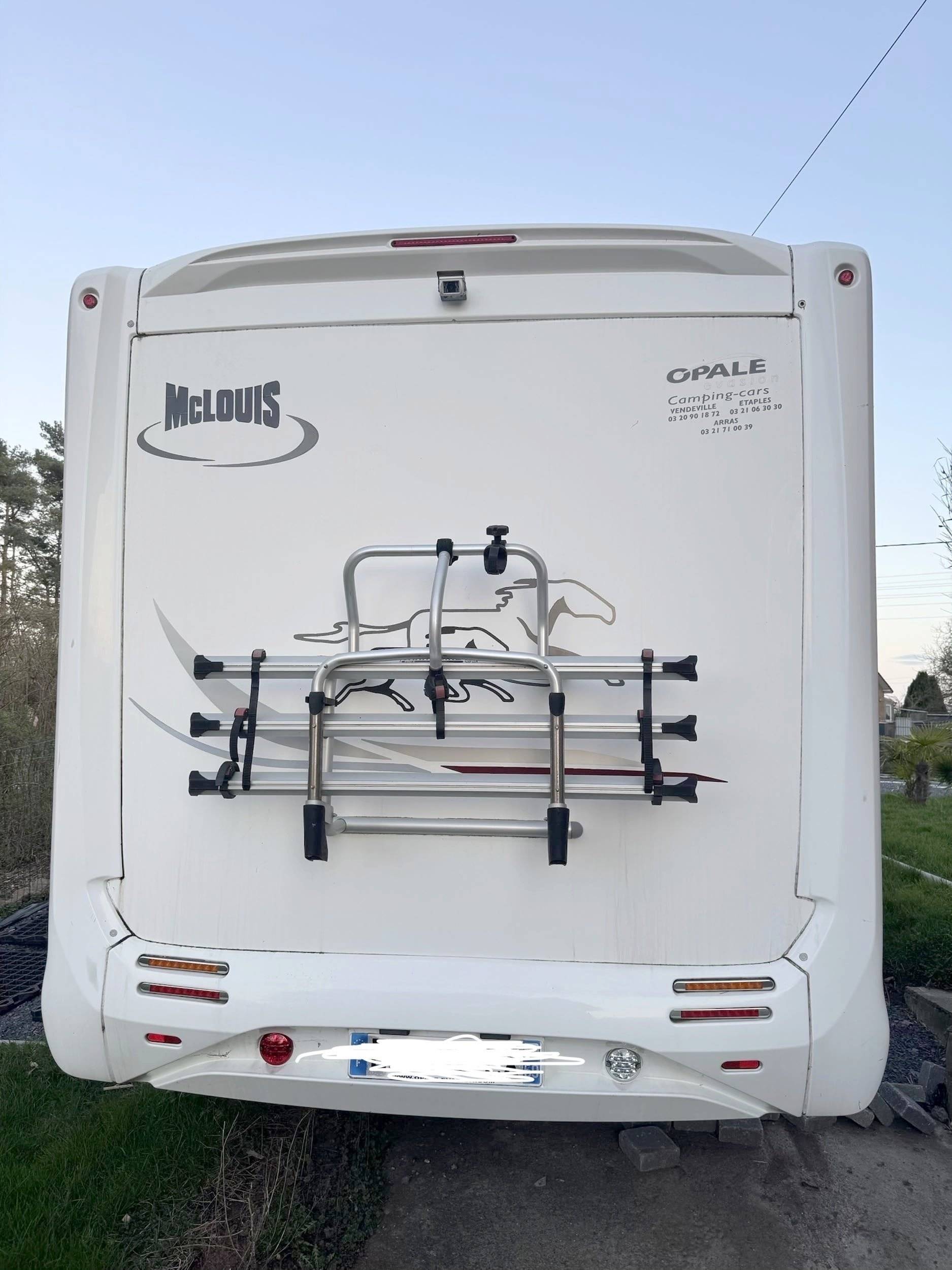 Mclouis 90 G YEARLING