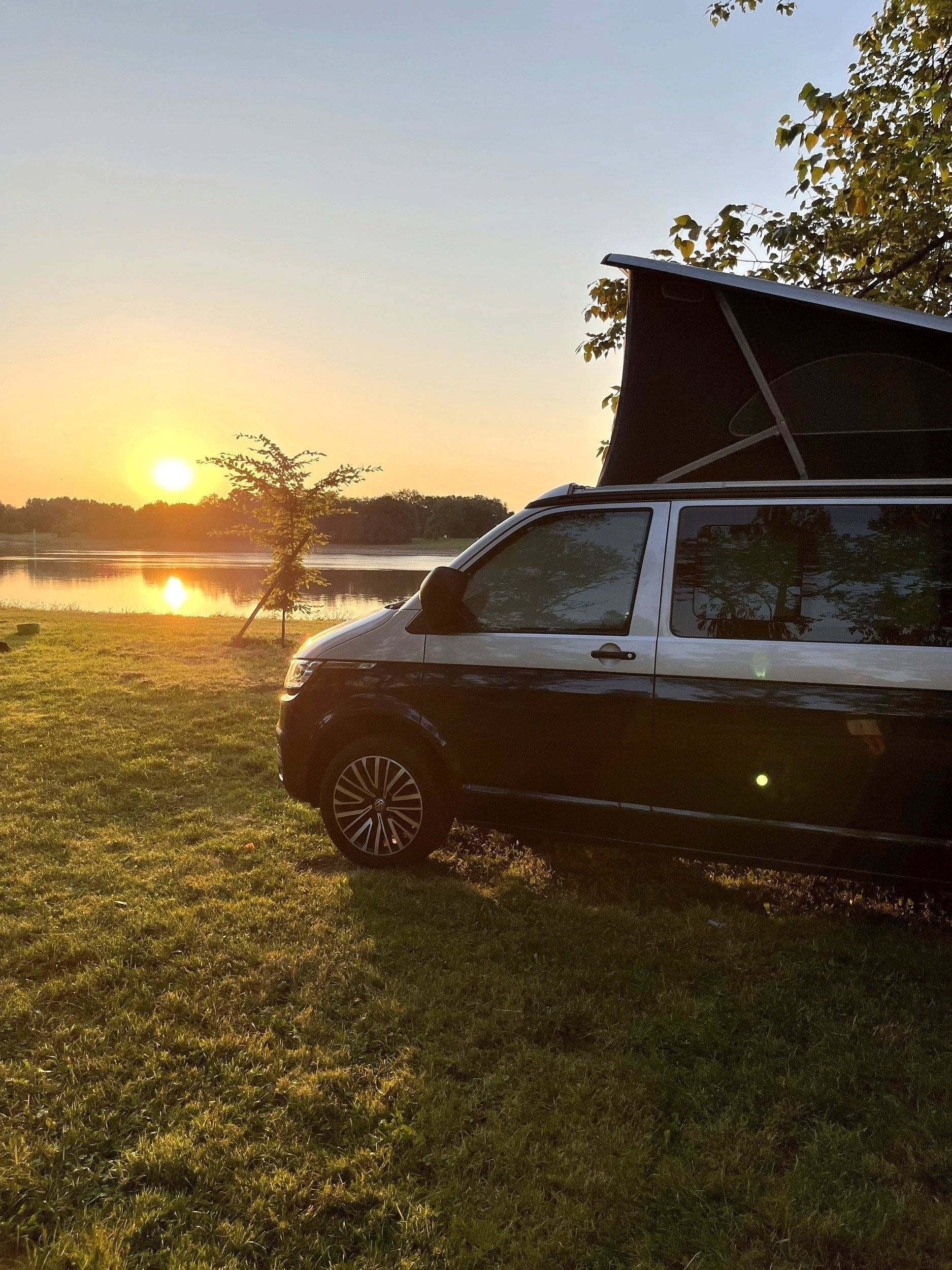 Ludospace California t6.1