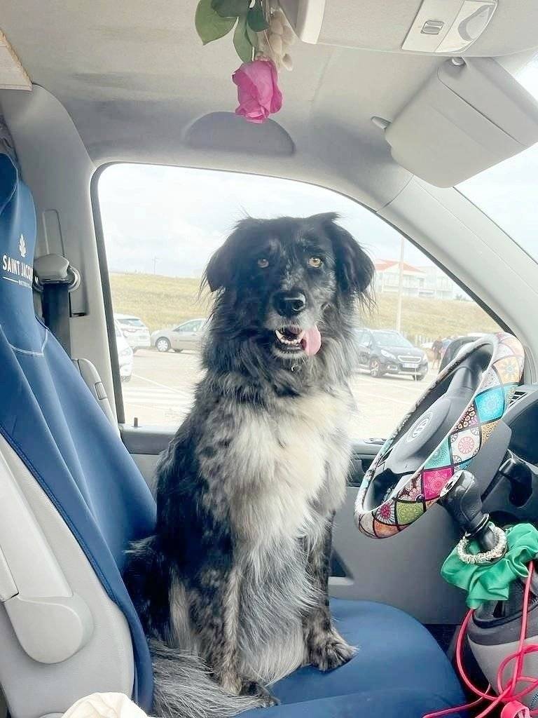 Volkswagen T5 TDI 104 ch