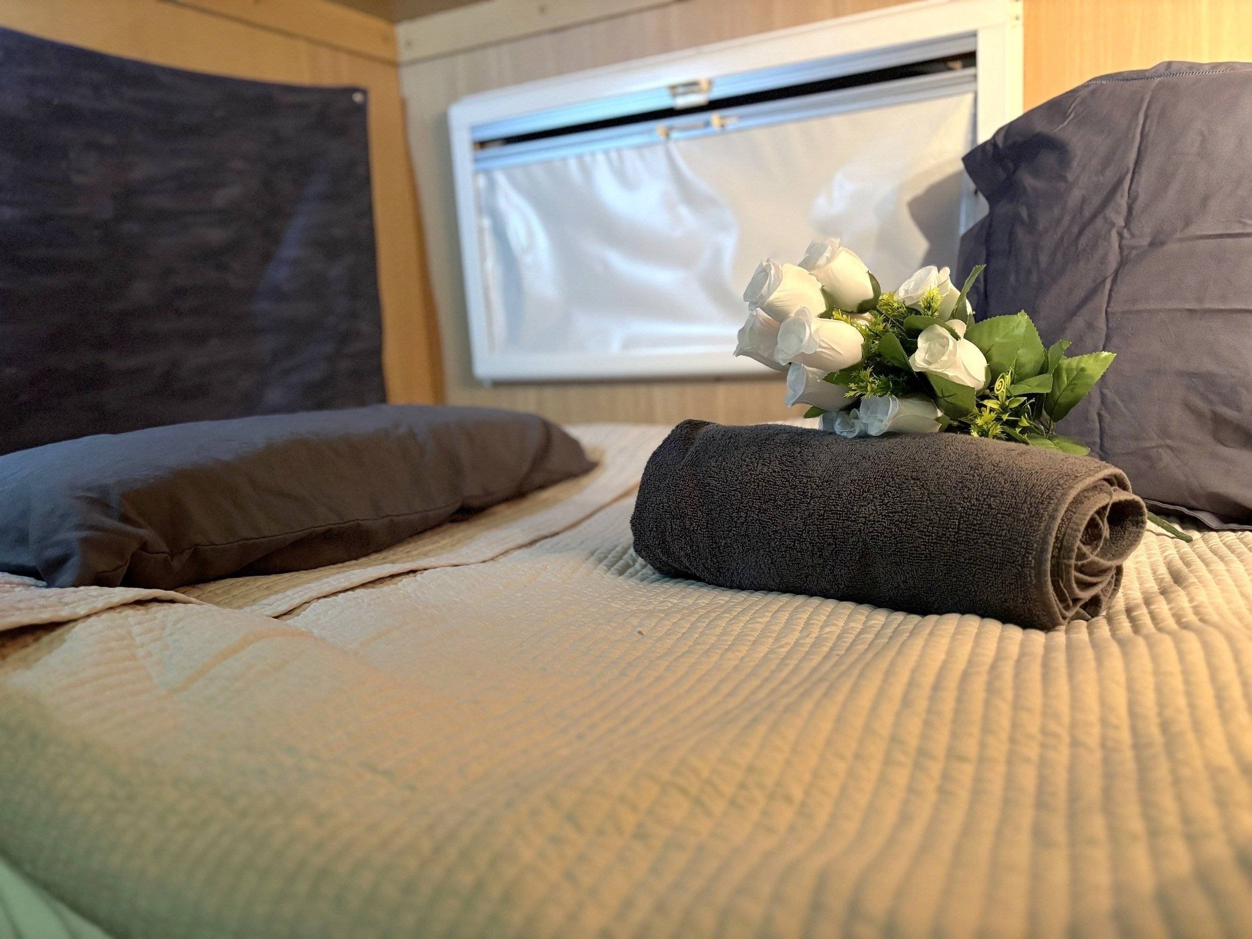 Trigano Ducato 2,3 l Multijet 100 ch.