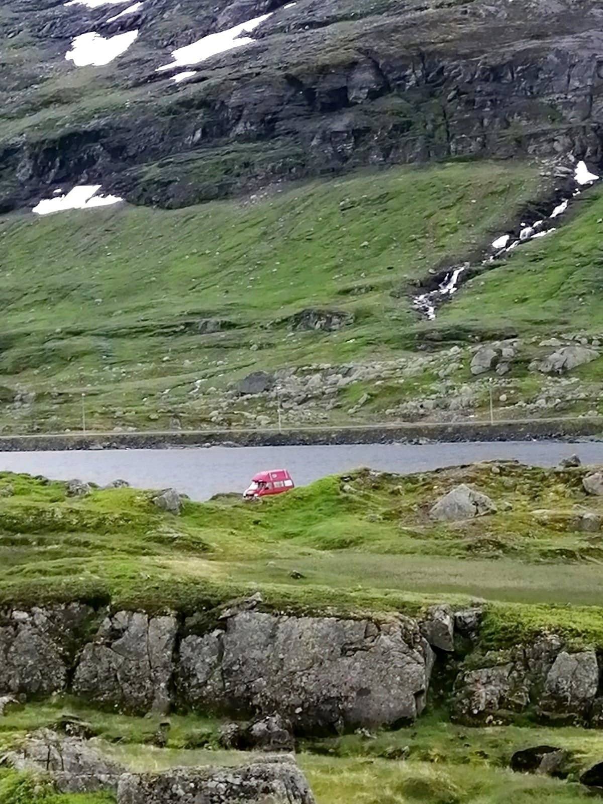 Westfalia T4 California Wolf-2