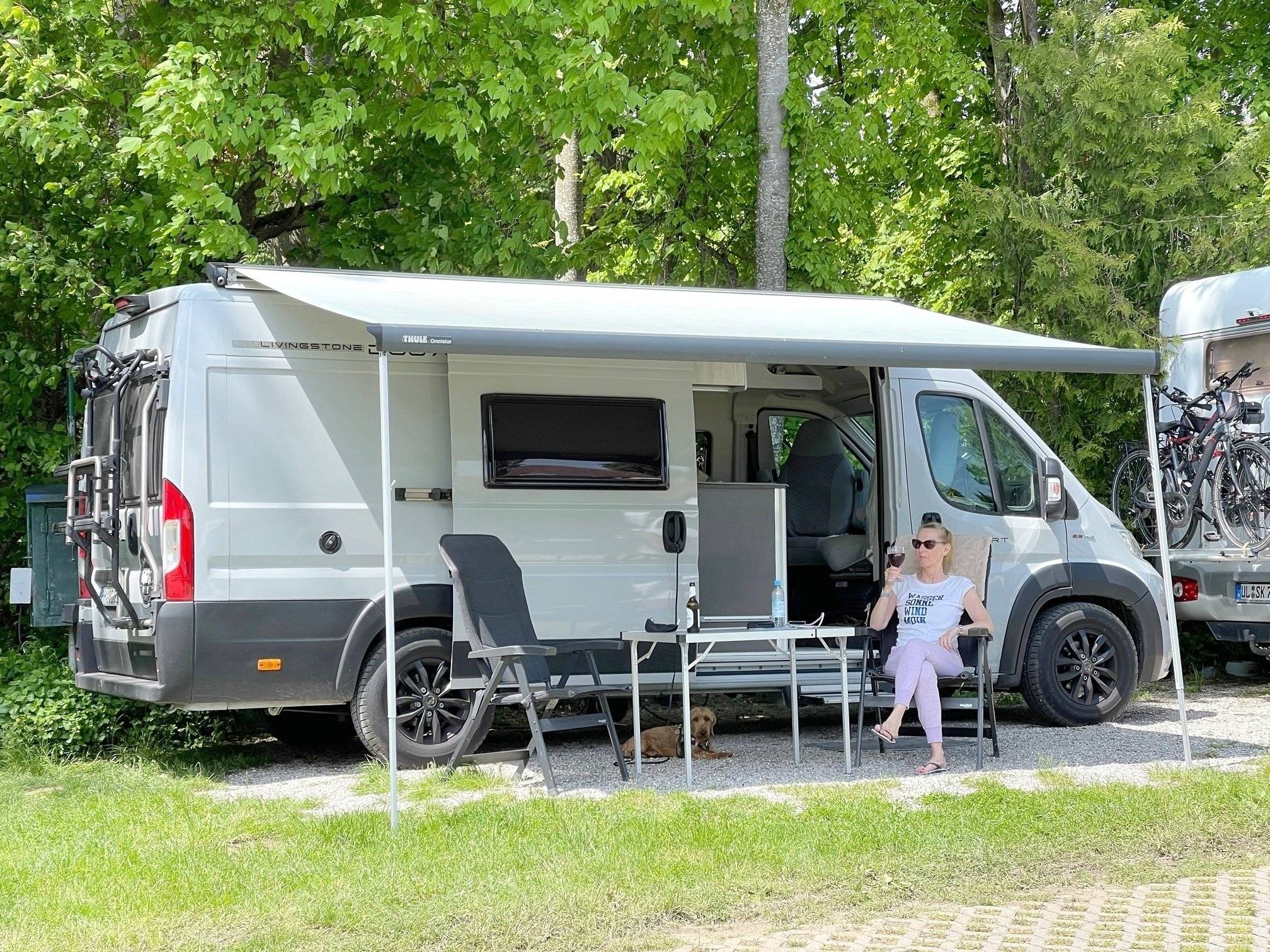 Roller Team Livingstone DUO XL Sport