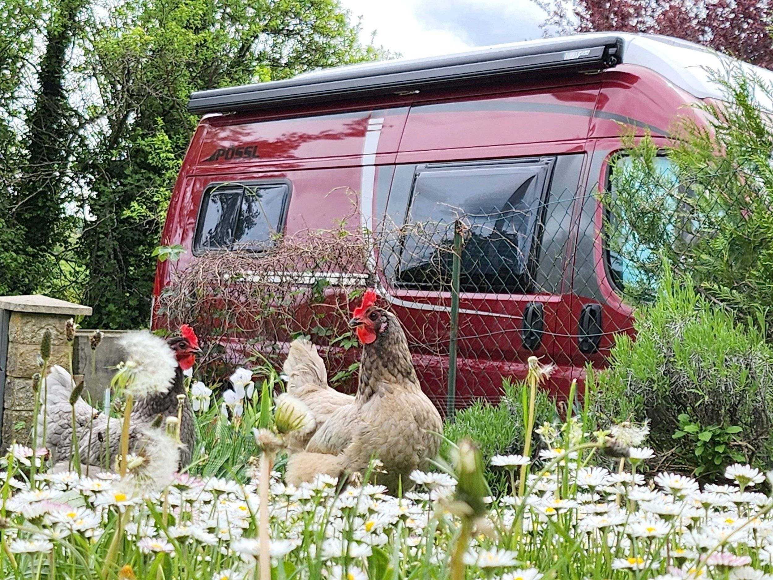 Pössl 2WIN R PLUS Toit relevable