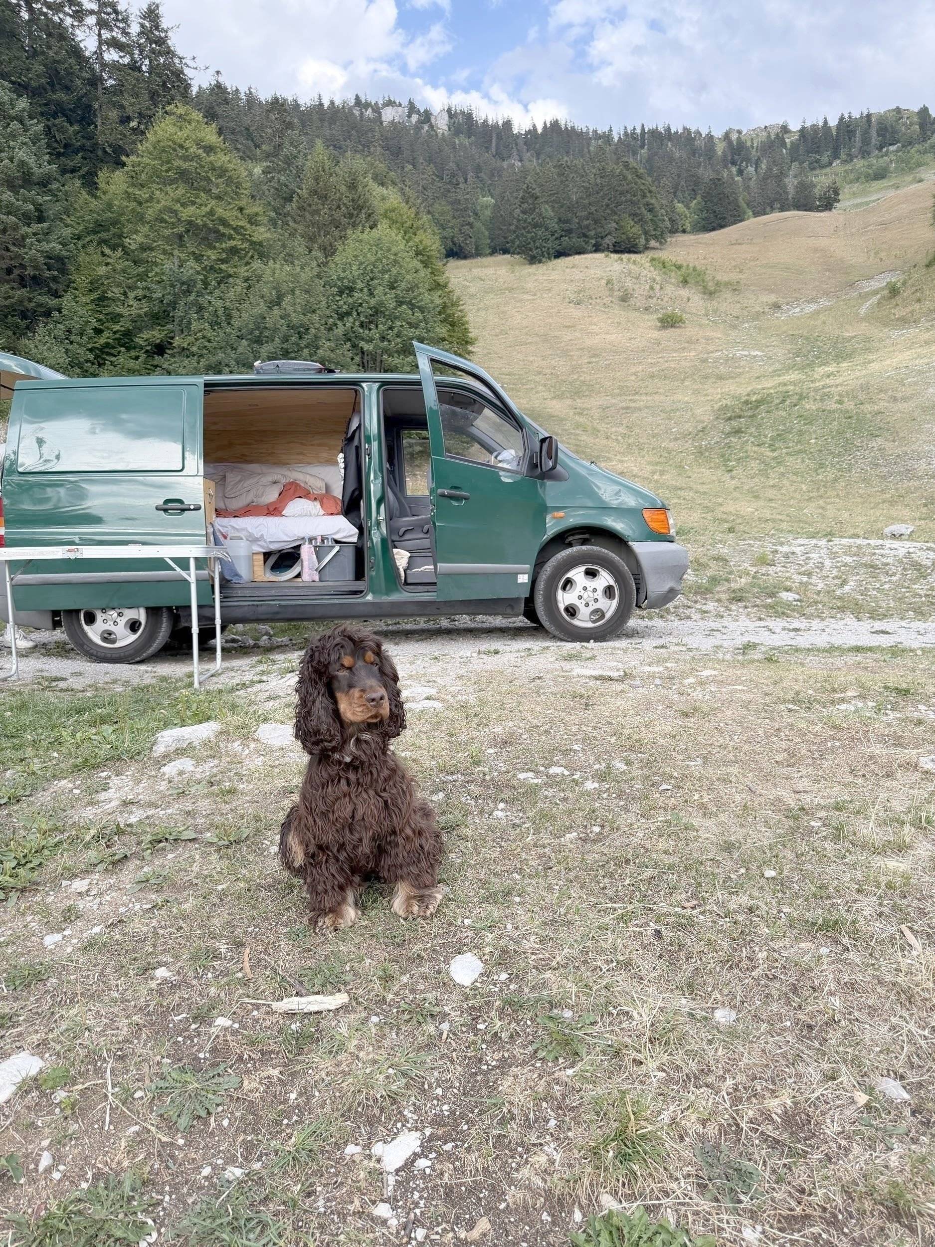 perso Mercedes vito