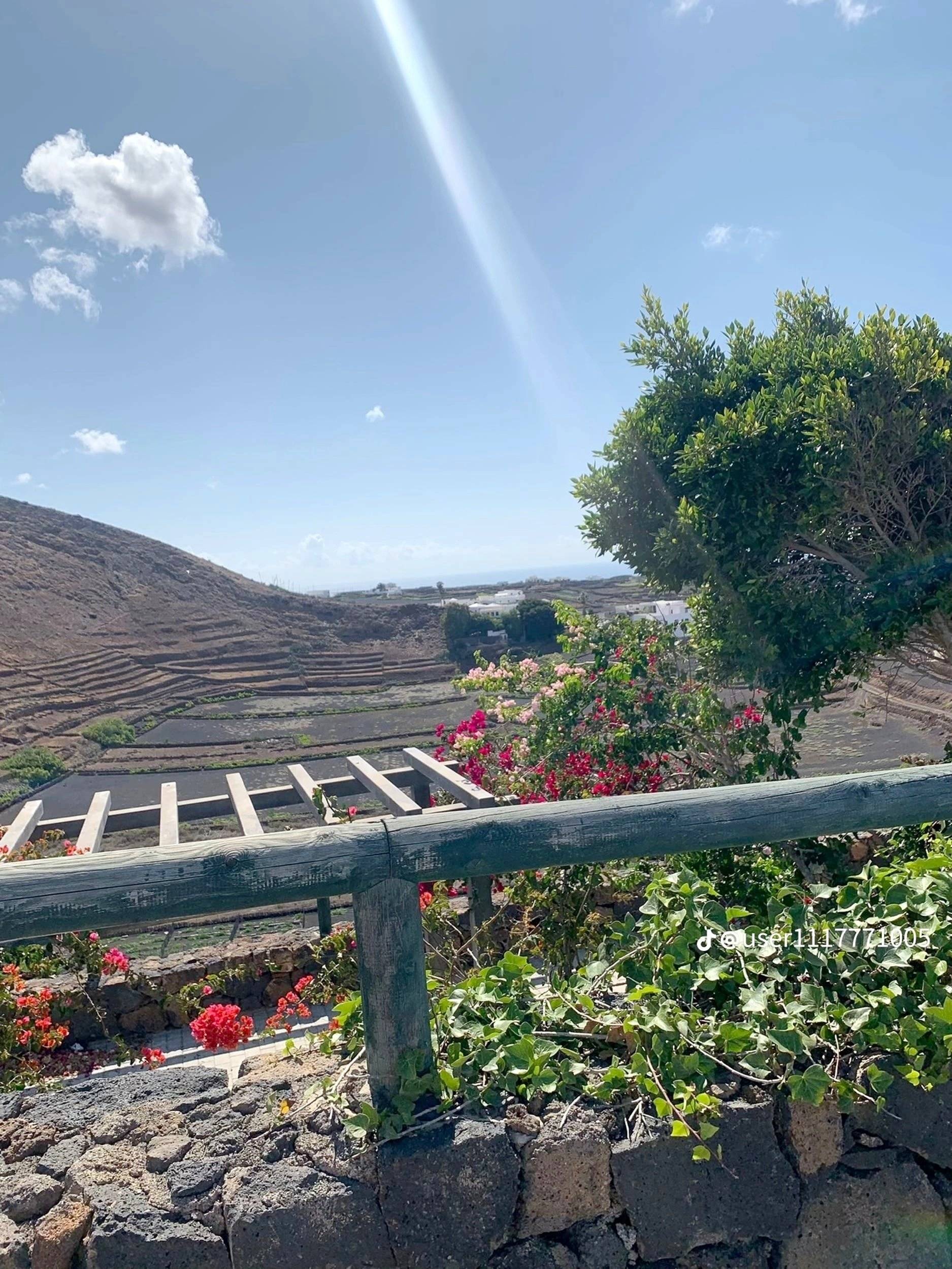 Alpes Camping-Car Vivaro 1,9 CDTI 100ch