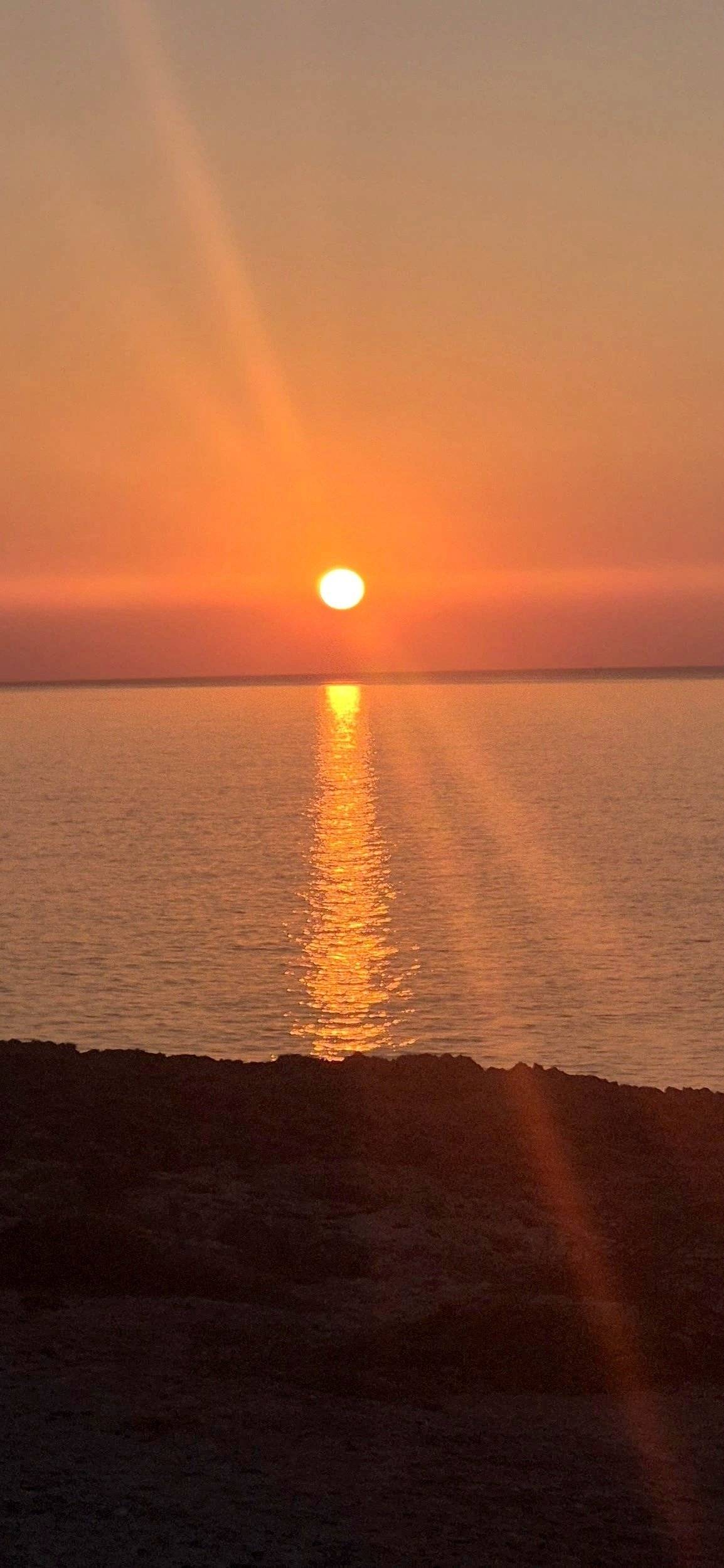 Bavaria Trigano FD1 /FOT3M335KPFD41ZO/Genesis