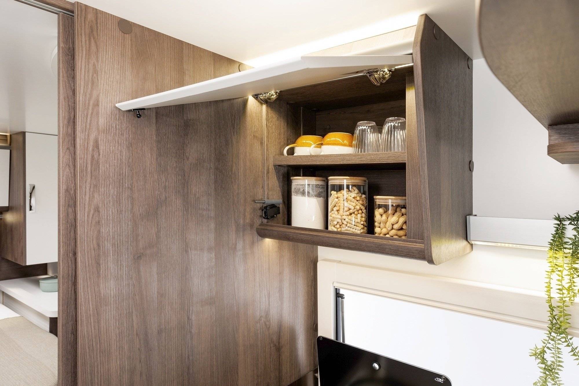 Benimar Tessoro 496 Special Edition