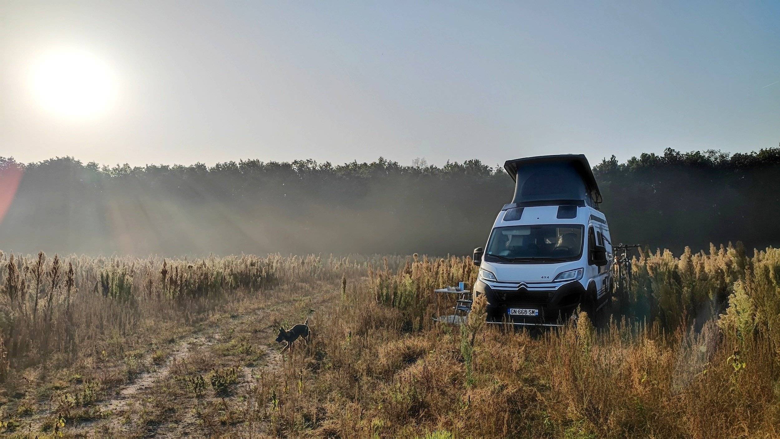 Bürstner Campeo C540 