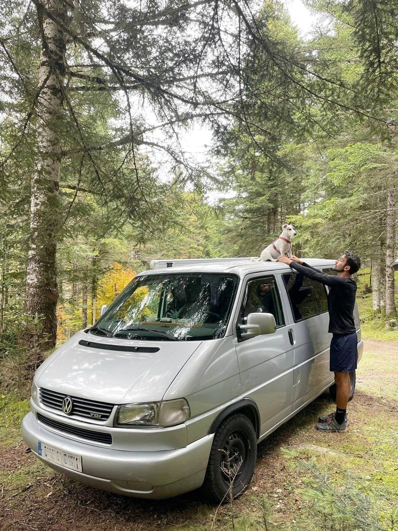 Volkswagen Volkswagen T4