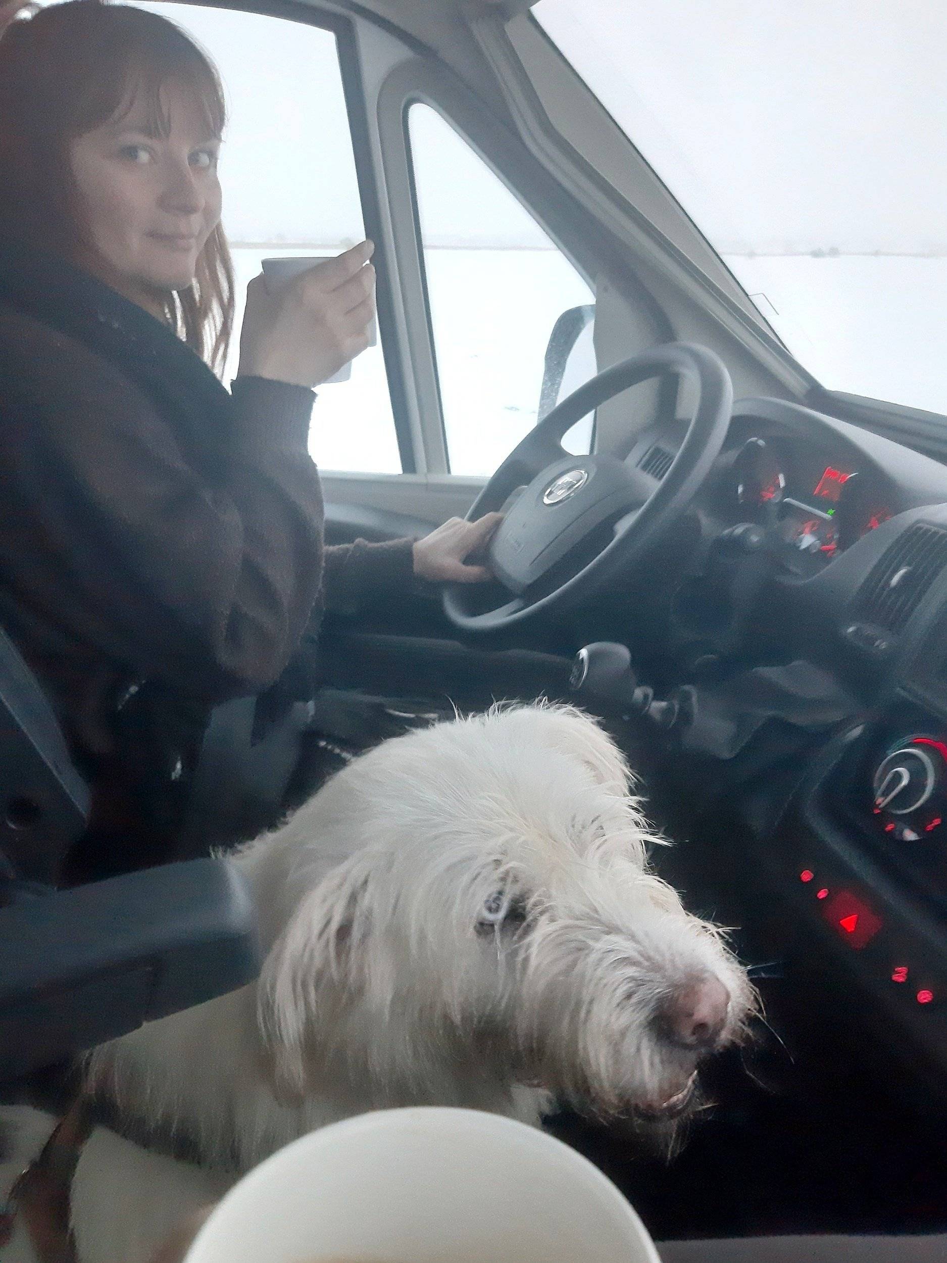 Sun Living Neukölln (A60SP)