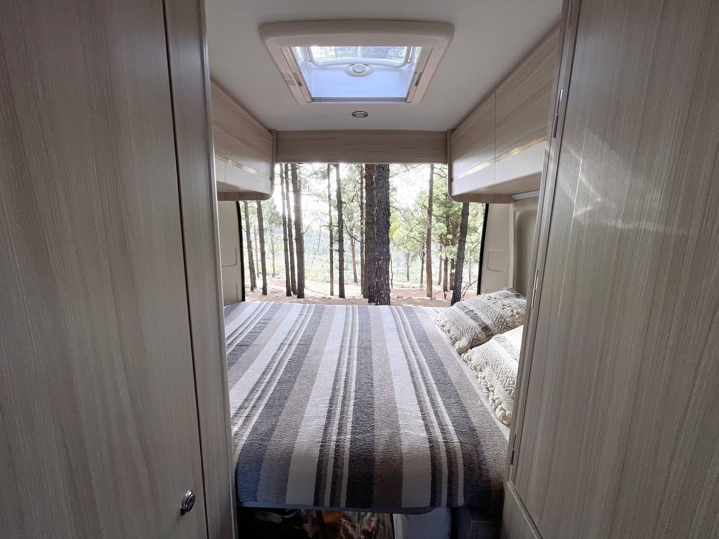 Dreamer Fun D55 Exclusive