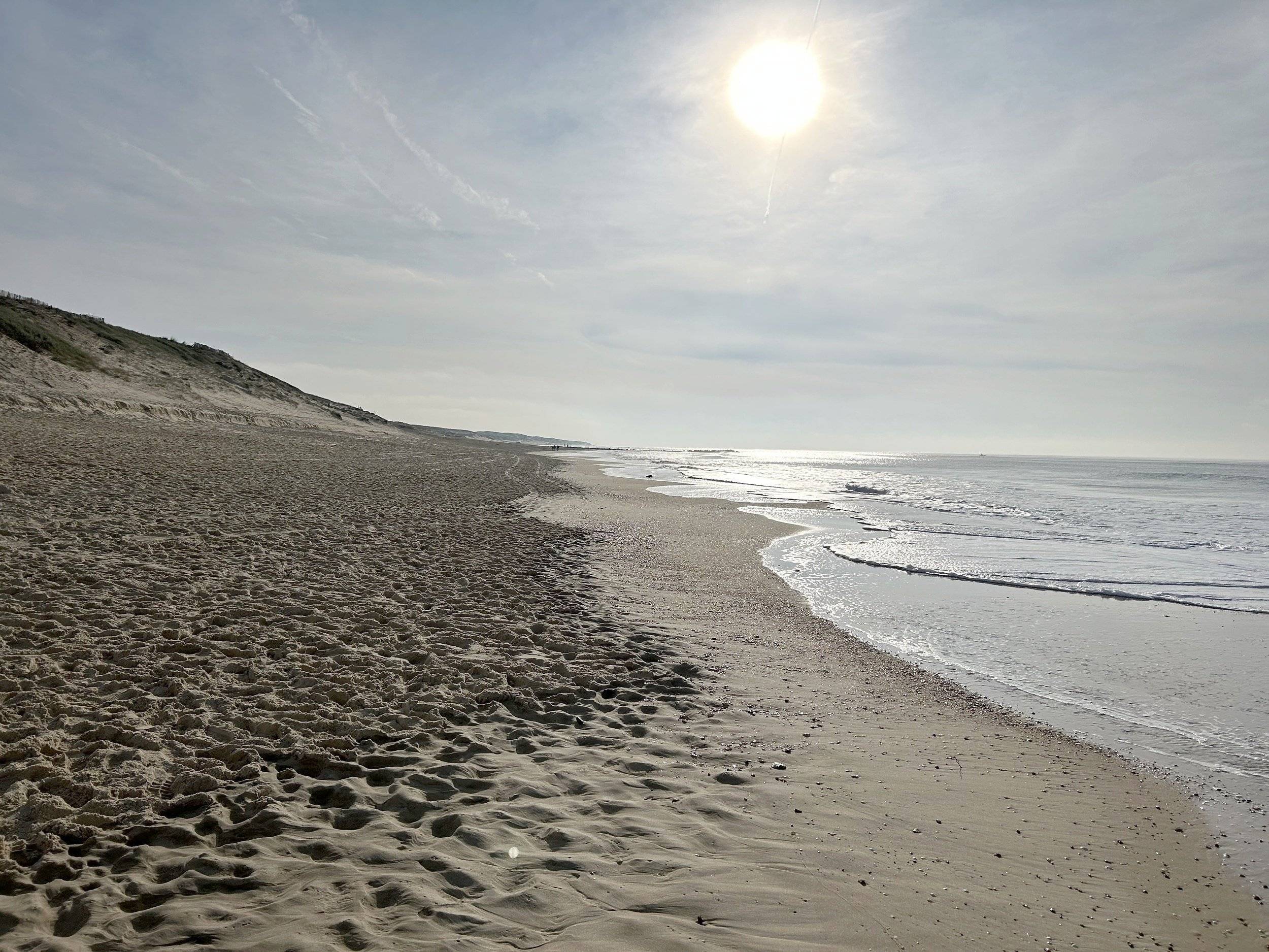 Volkswagen Volkswagen T6.1 California OCEAN