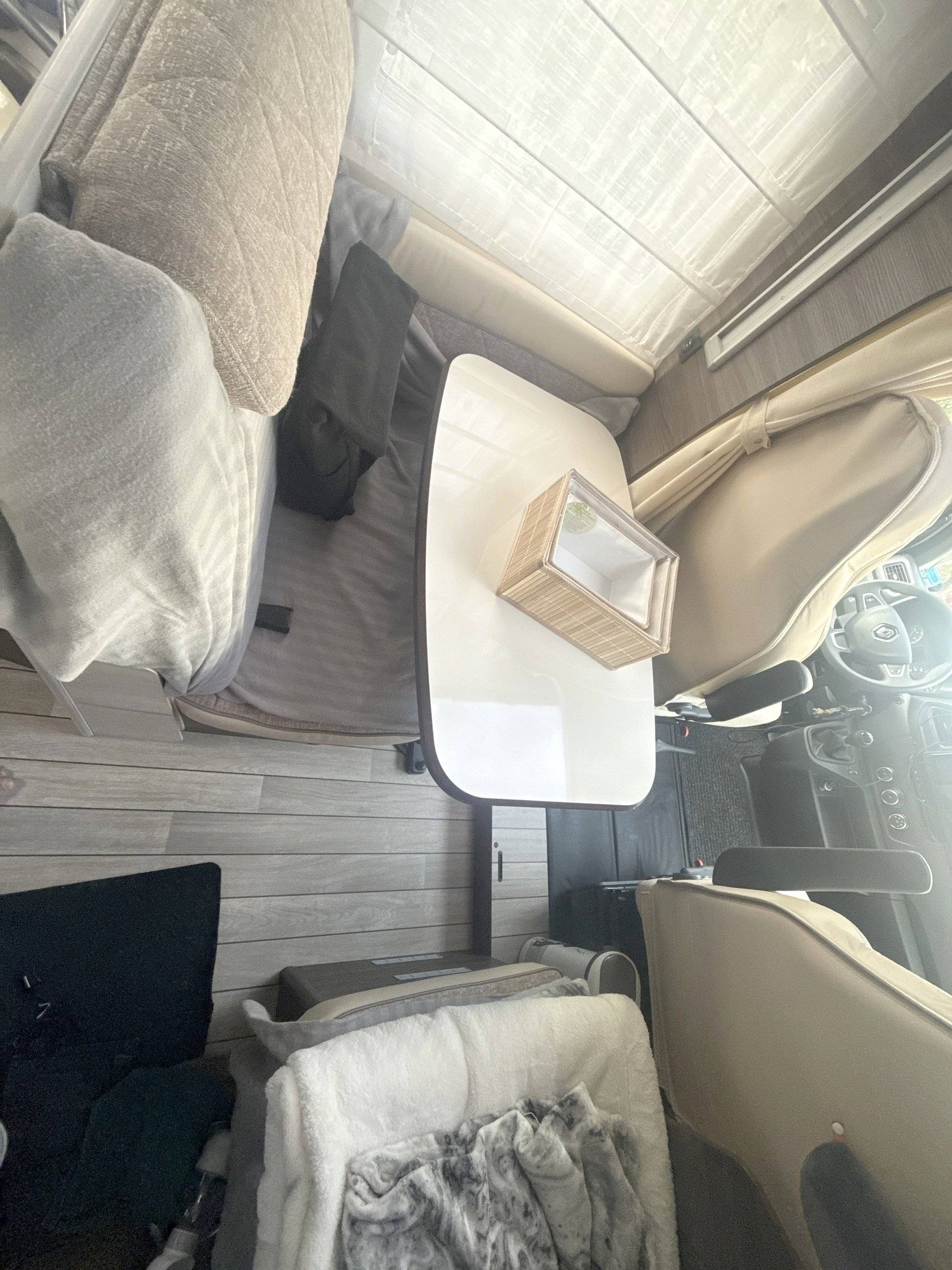 Mclouis Yearling 89G