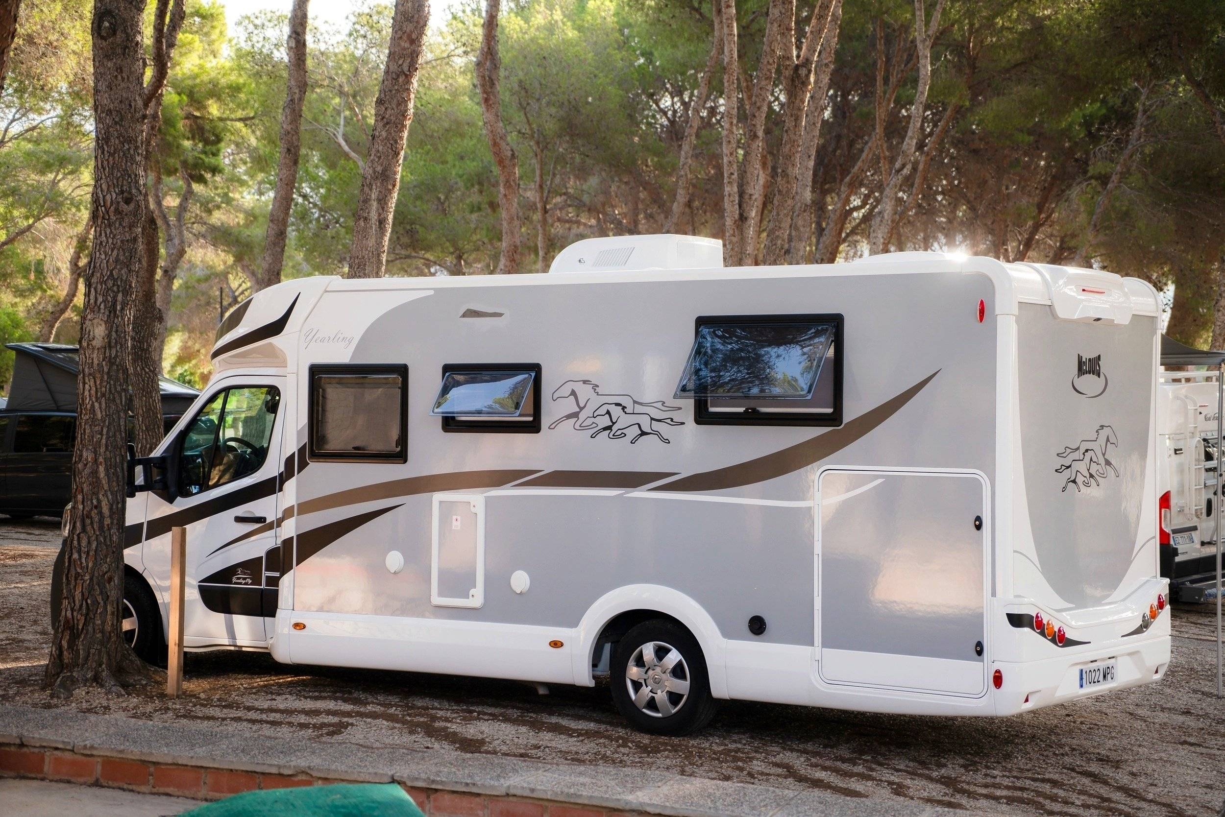 Mclouis Yearling 89G