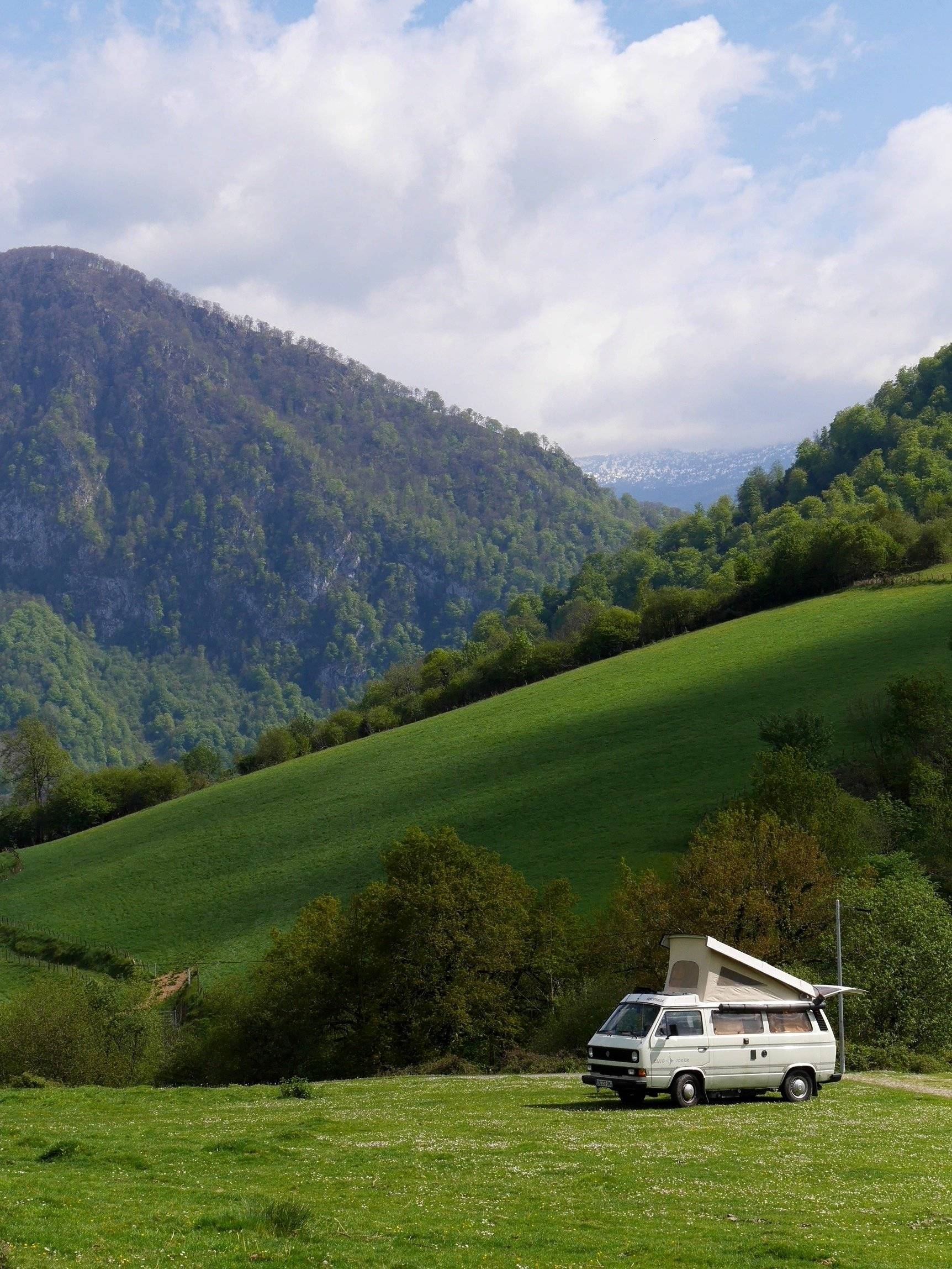 Westfalia T3 Westfalia