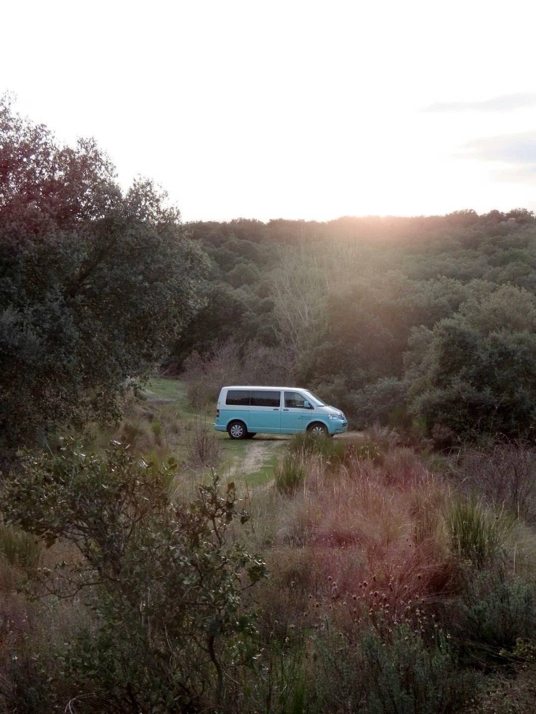 Volkswagen Volkswagen transporter T5